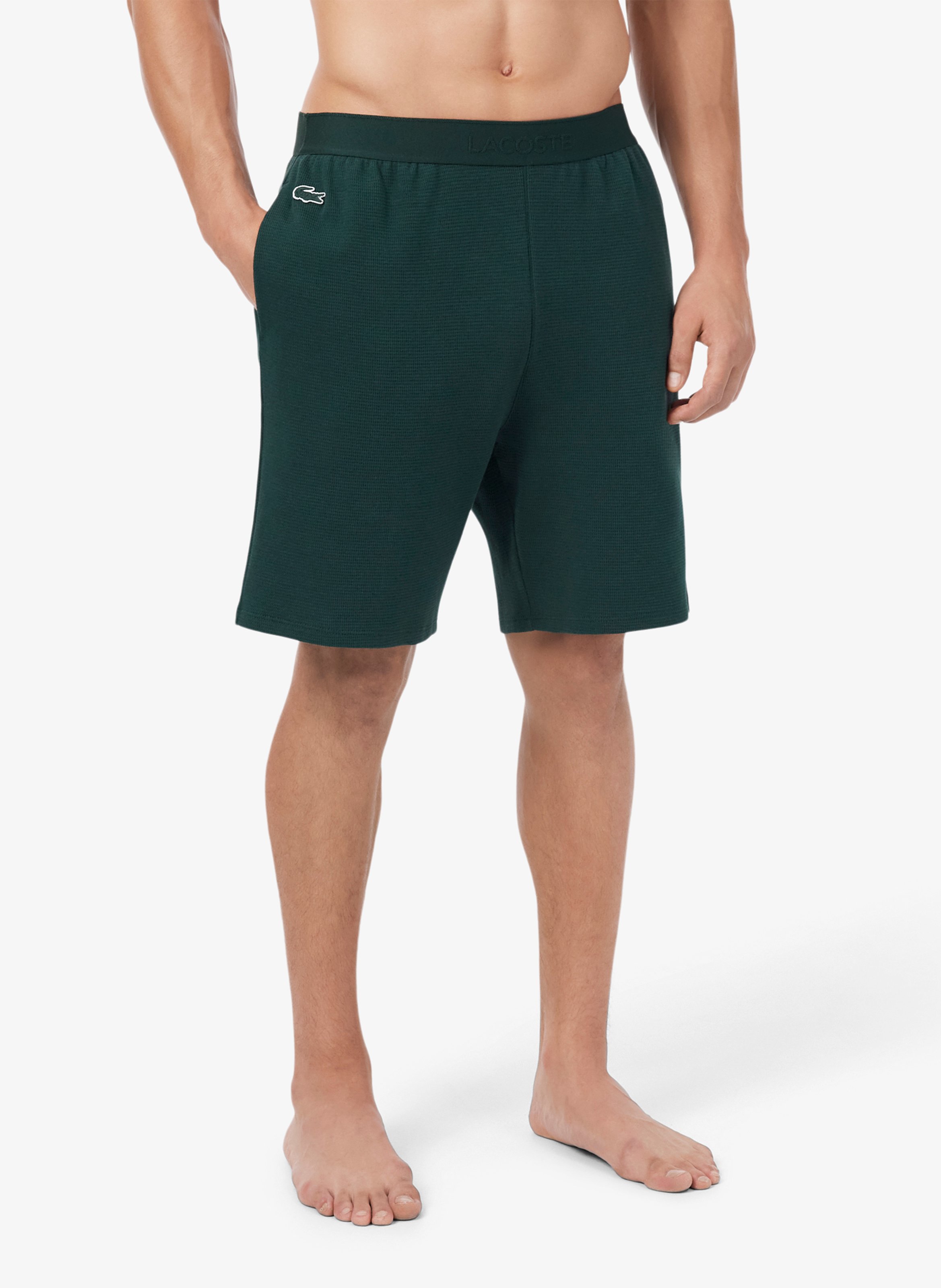 Short droit en coton LACOSTE Grun