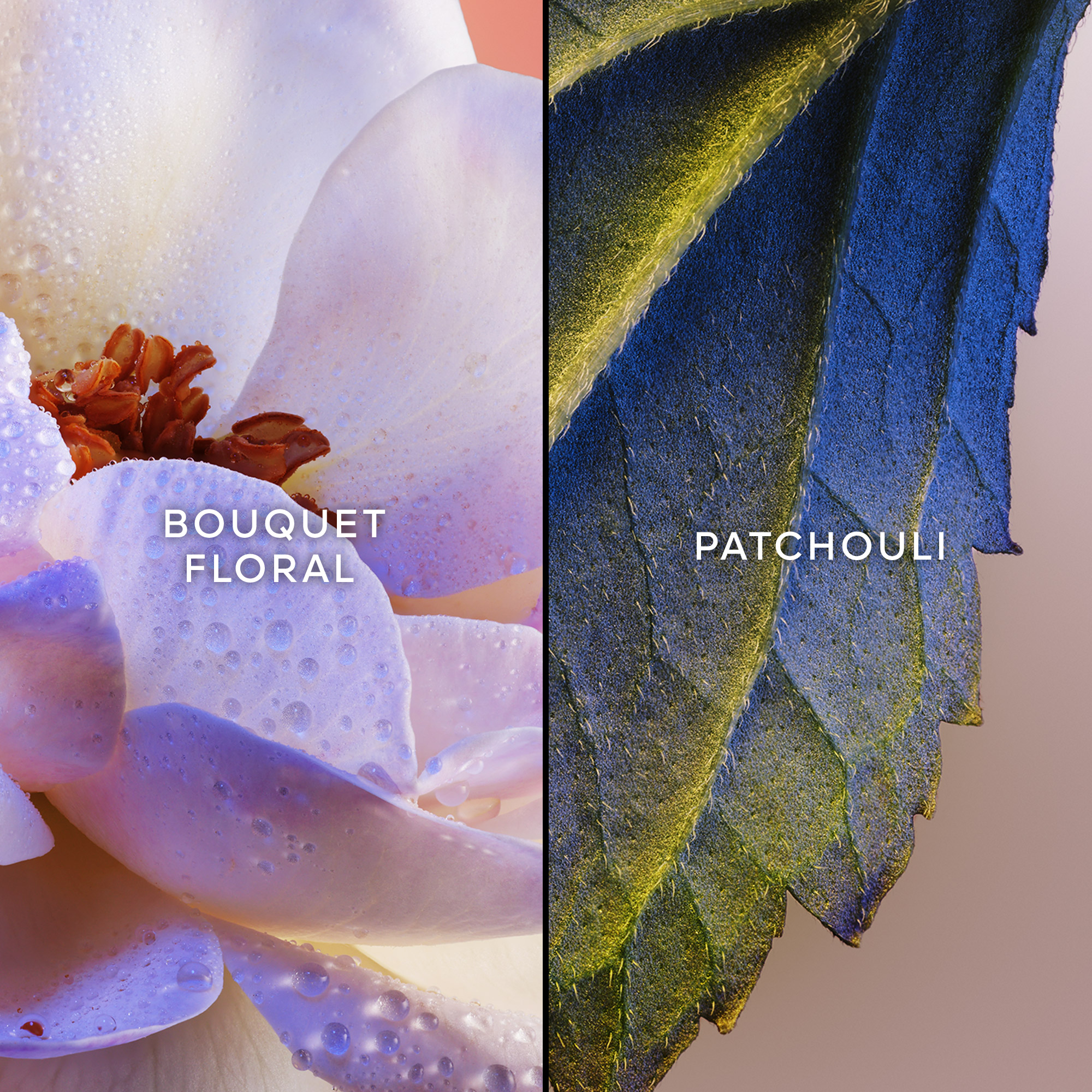 Idylle Eau de Parfum No color