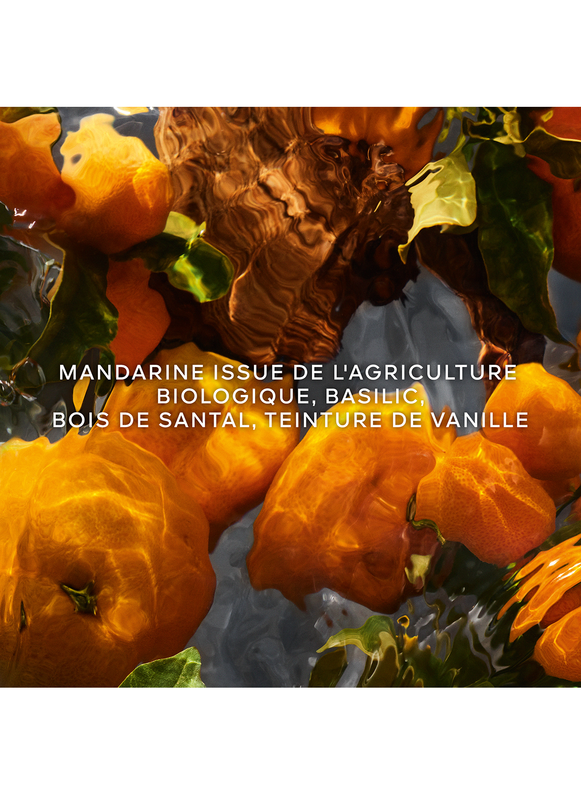 AQUA ALLEGORIA FORTE Mandarine Basilikum - Eau de Parfum GUERLAIN No color