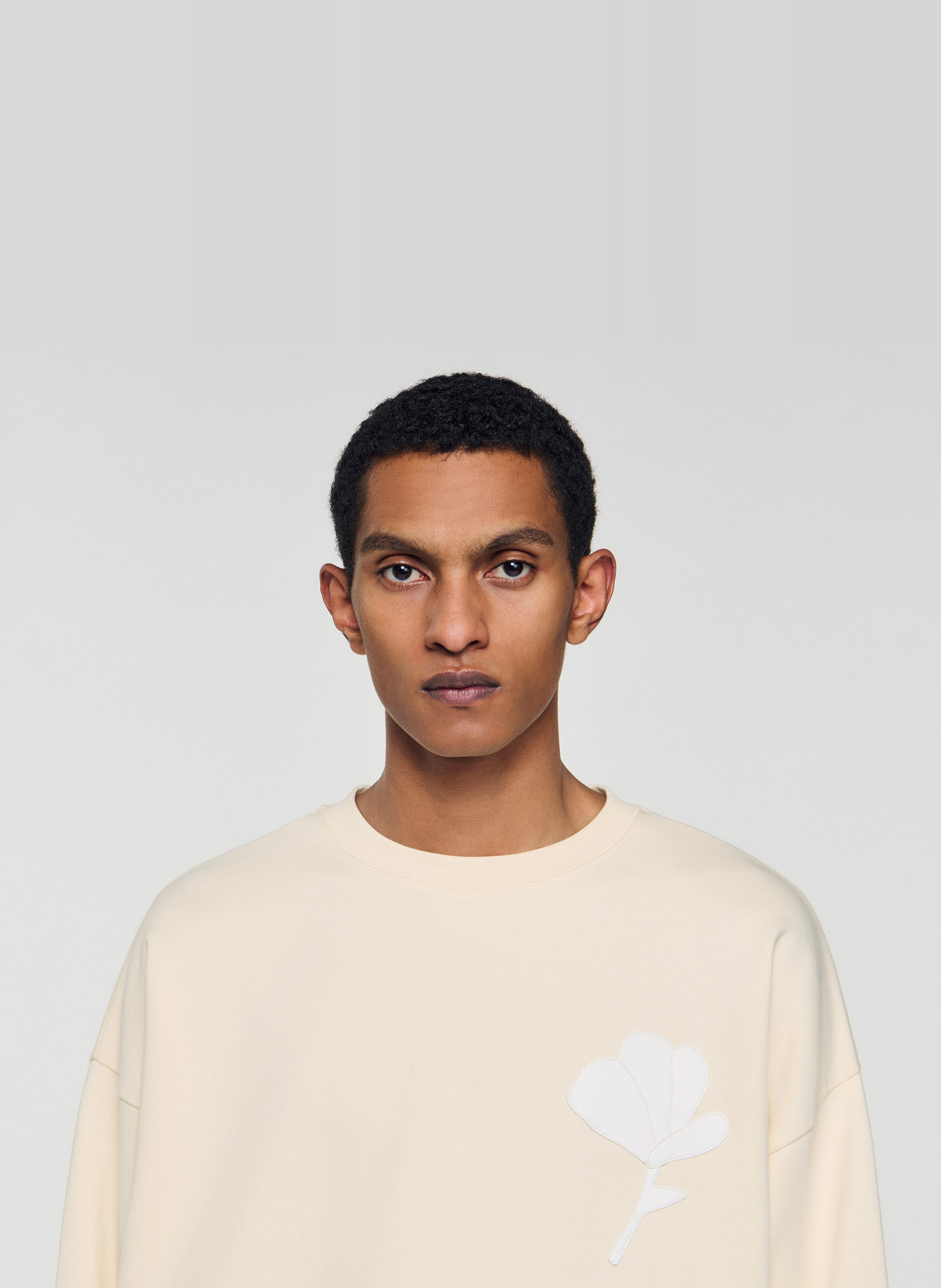 Effen katoenen sweater SANDRO Beige