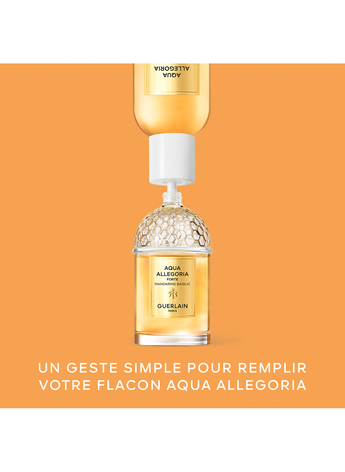 AQUA ALLEGORIA FORTE Mandarine Basilikum - Eau de Parfum GUERLAIN No color