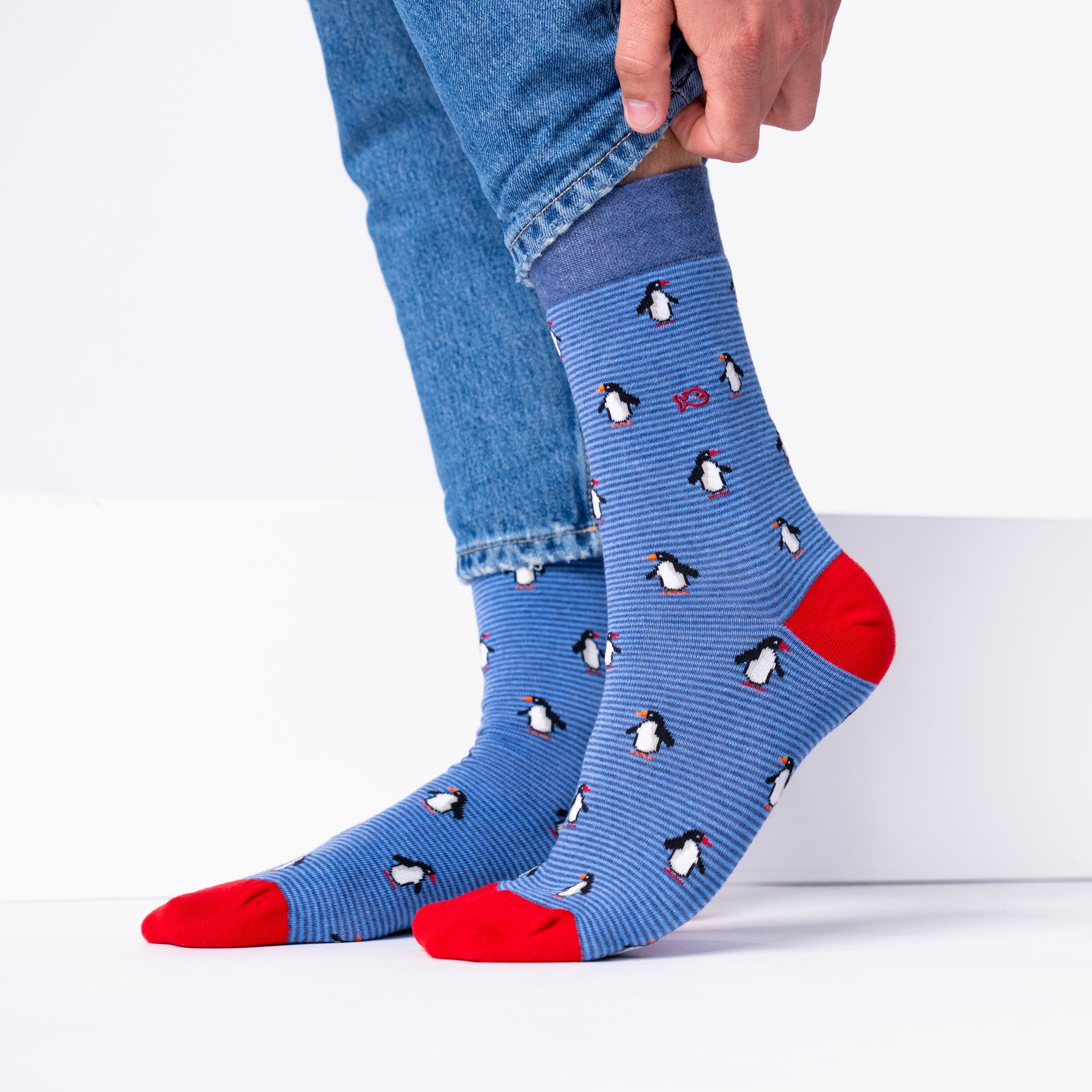 Combed Cotton Animal Socks BILLYBELT Blue