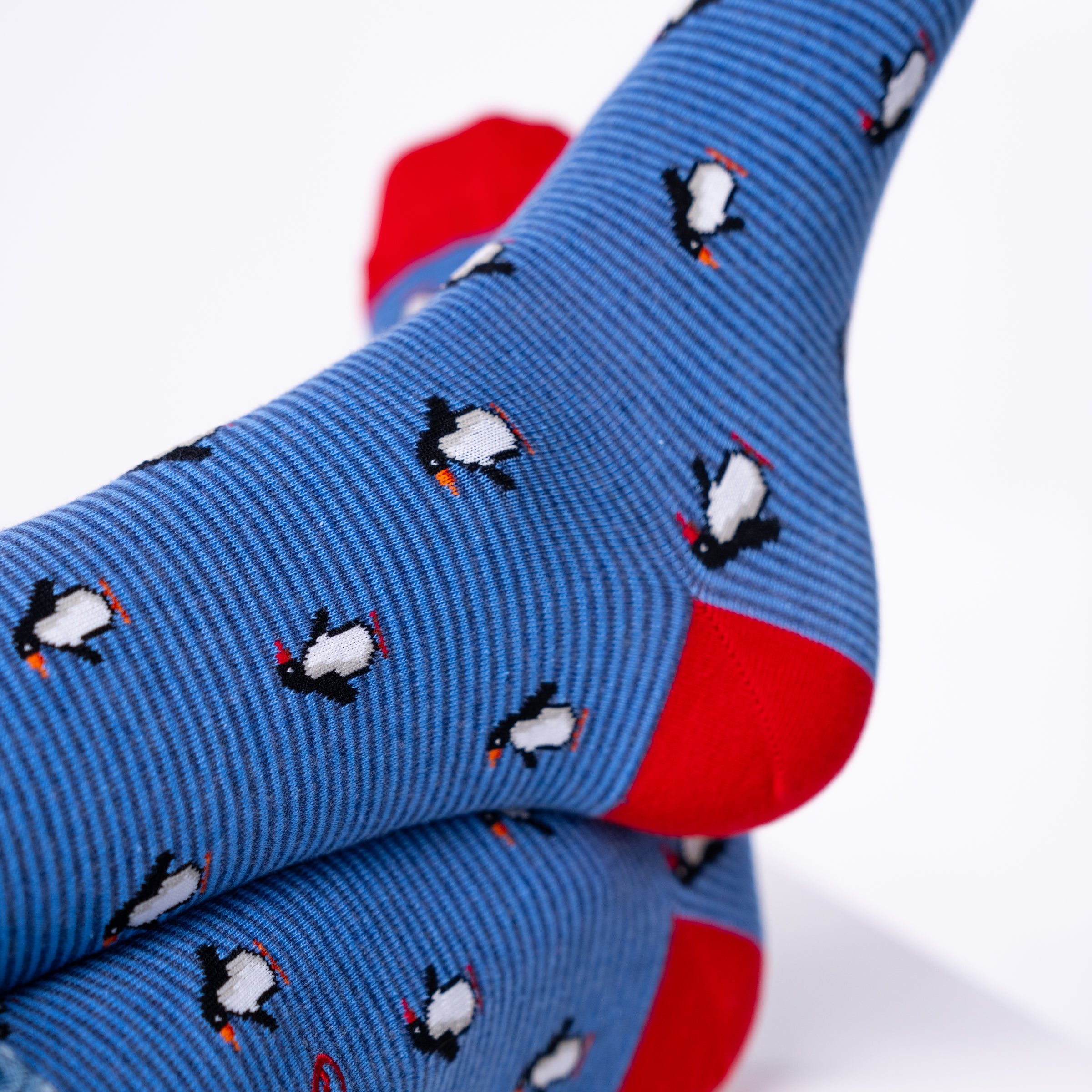 Combed Cotton Animal Socks BILLYBELT Blue
