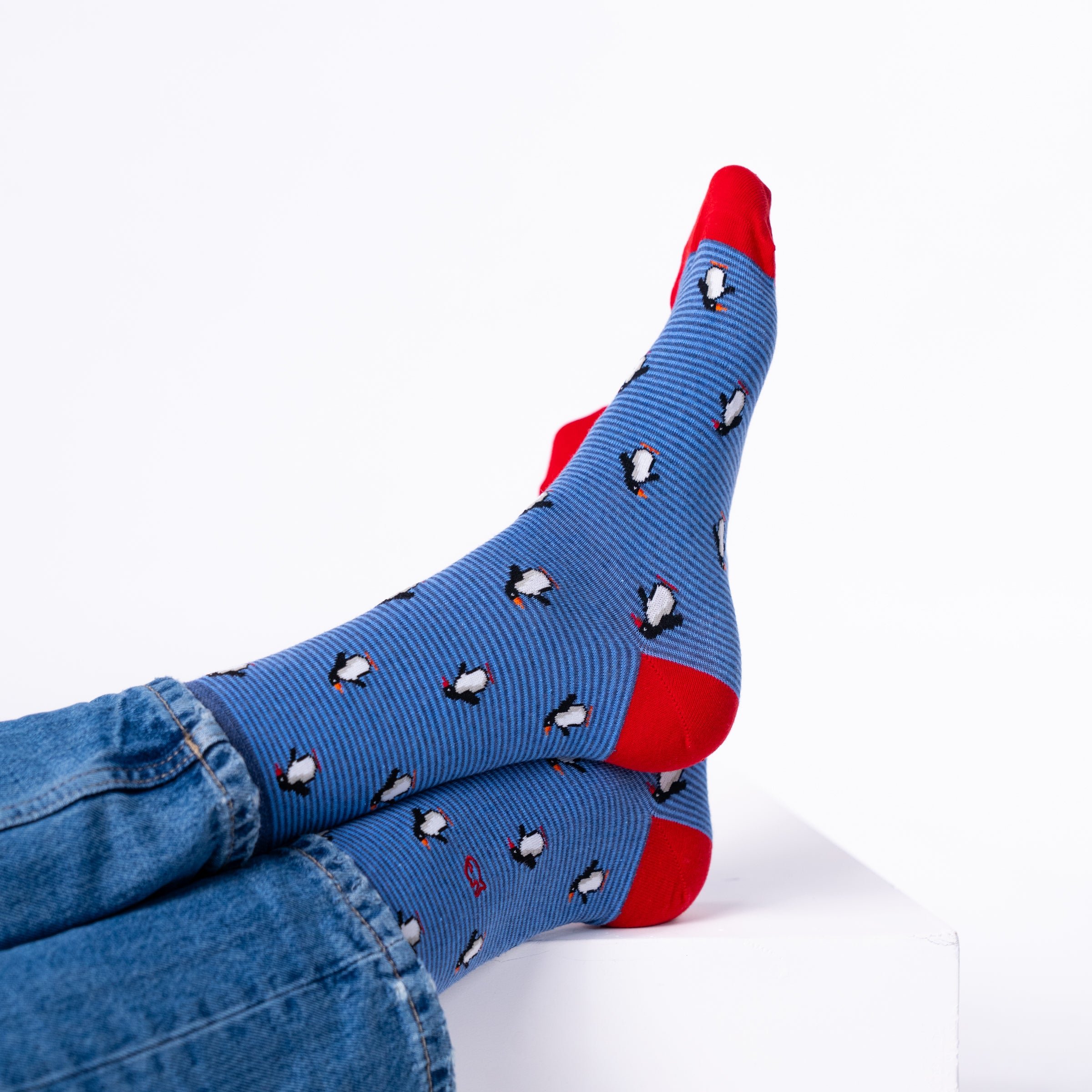 Combed Cotton Animal Socks BILLYBELT Blue