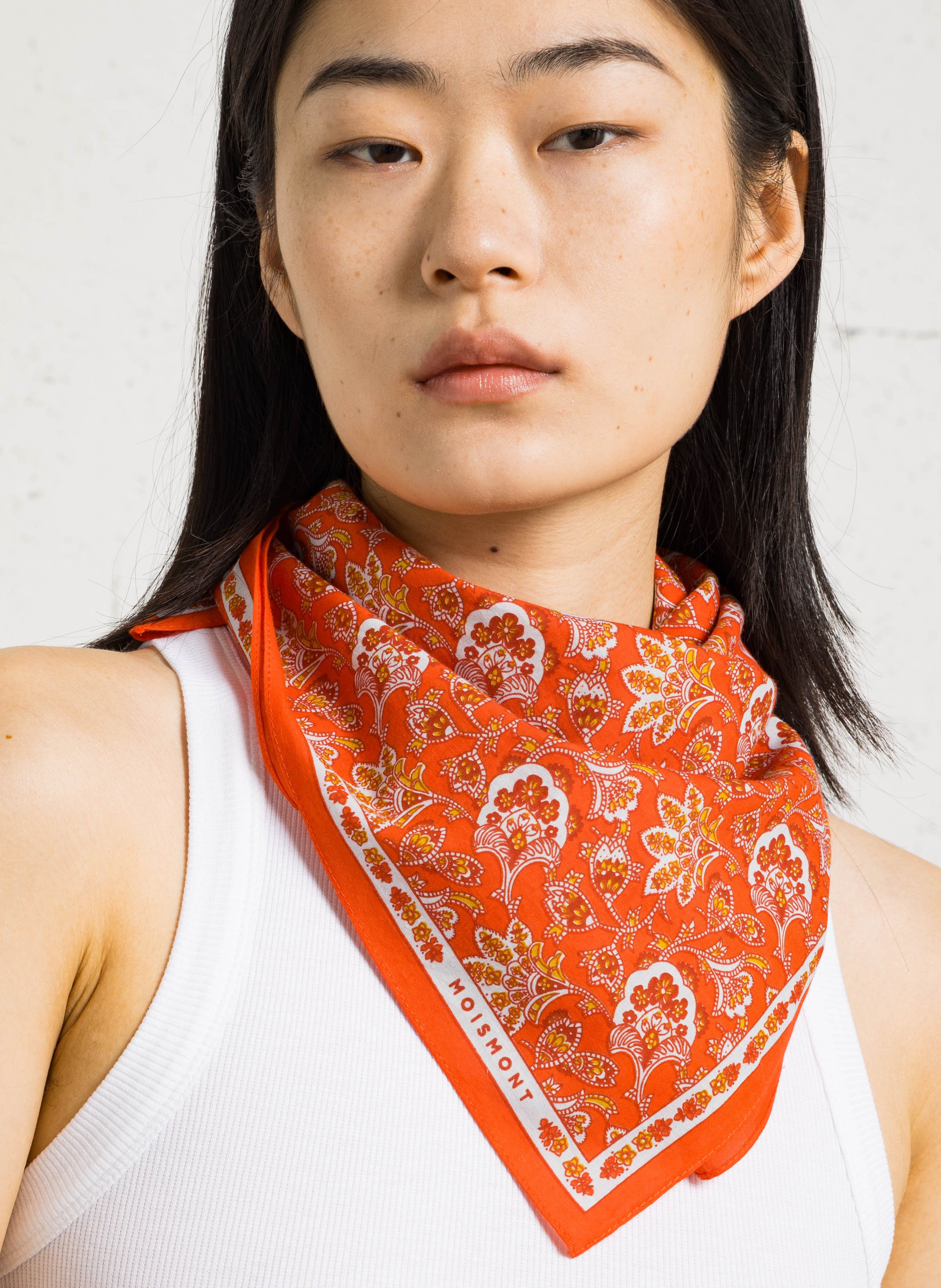 ARTIKEL AUSSTEHEND MOISMONT