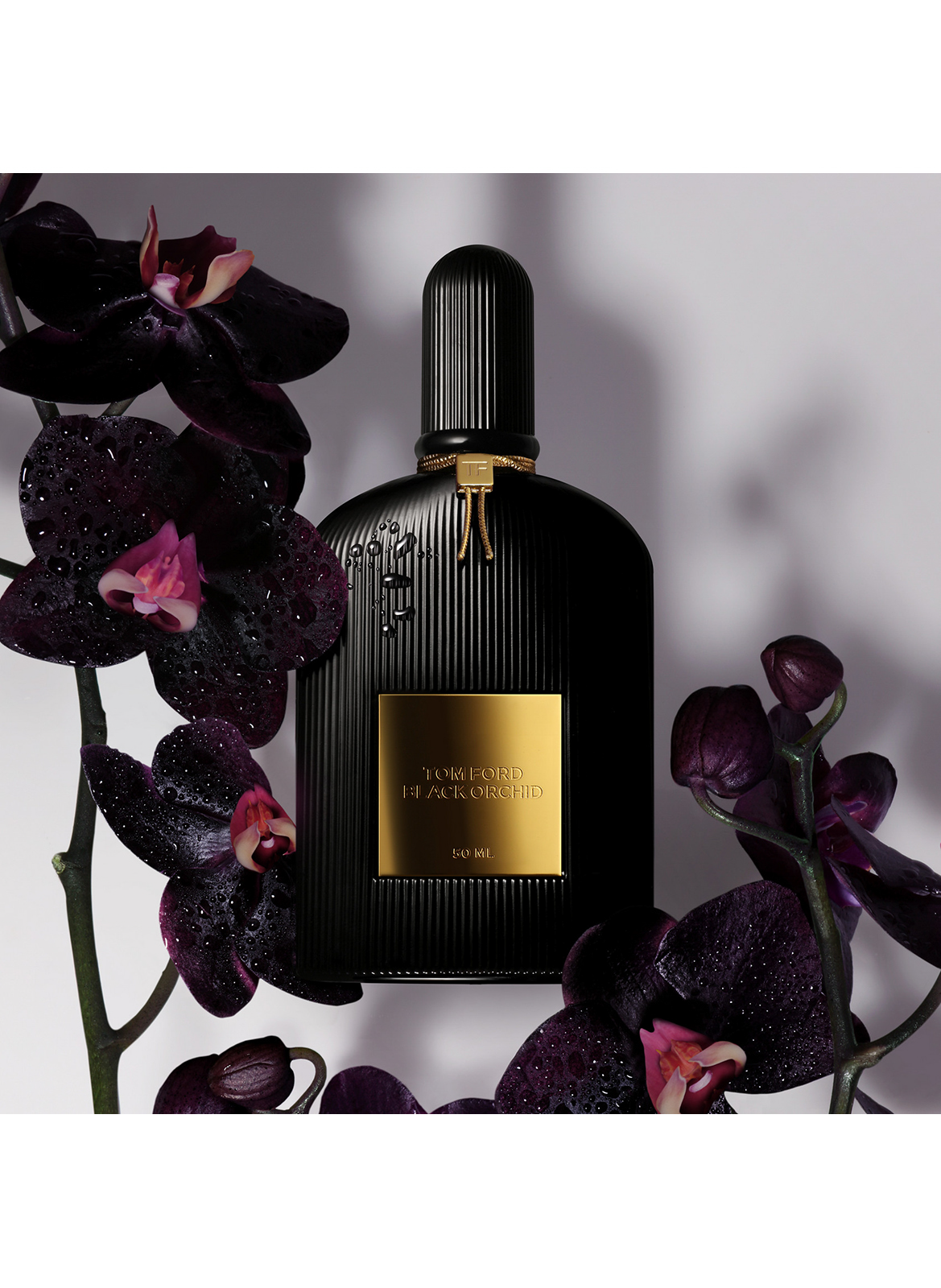 Black Orchid - Eau de parfum TOM FORD No color