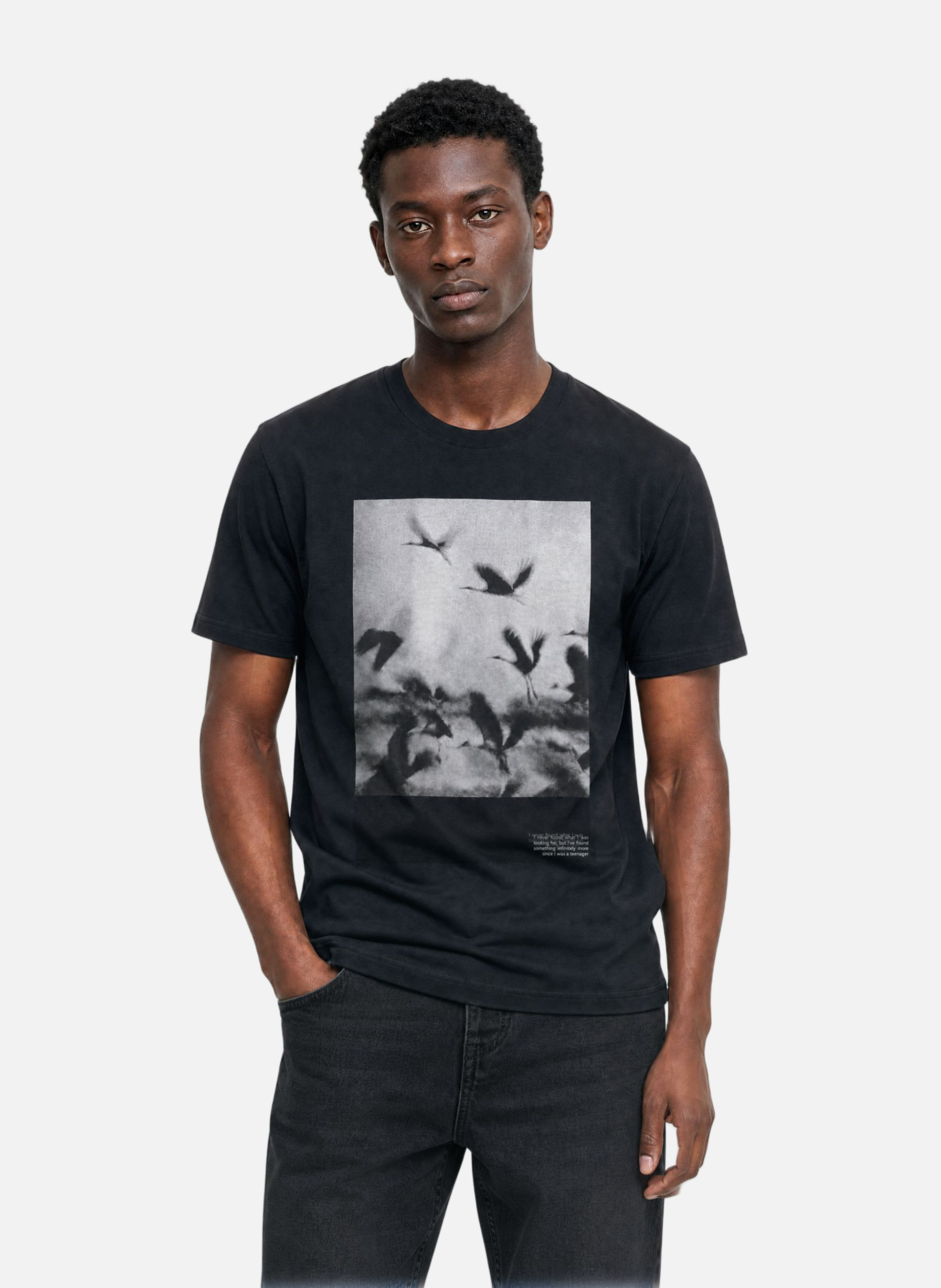 Black bird graphic T-shirt THE KOOPLES Black
