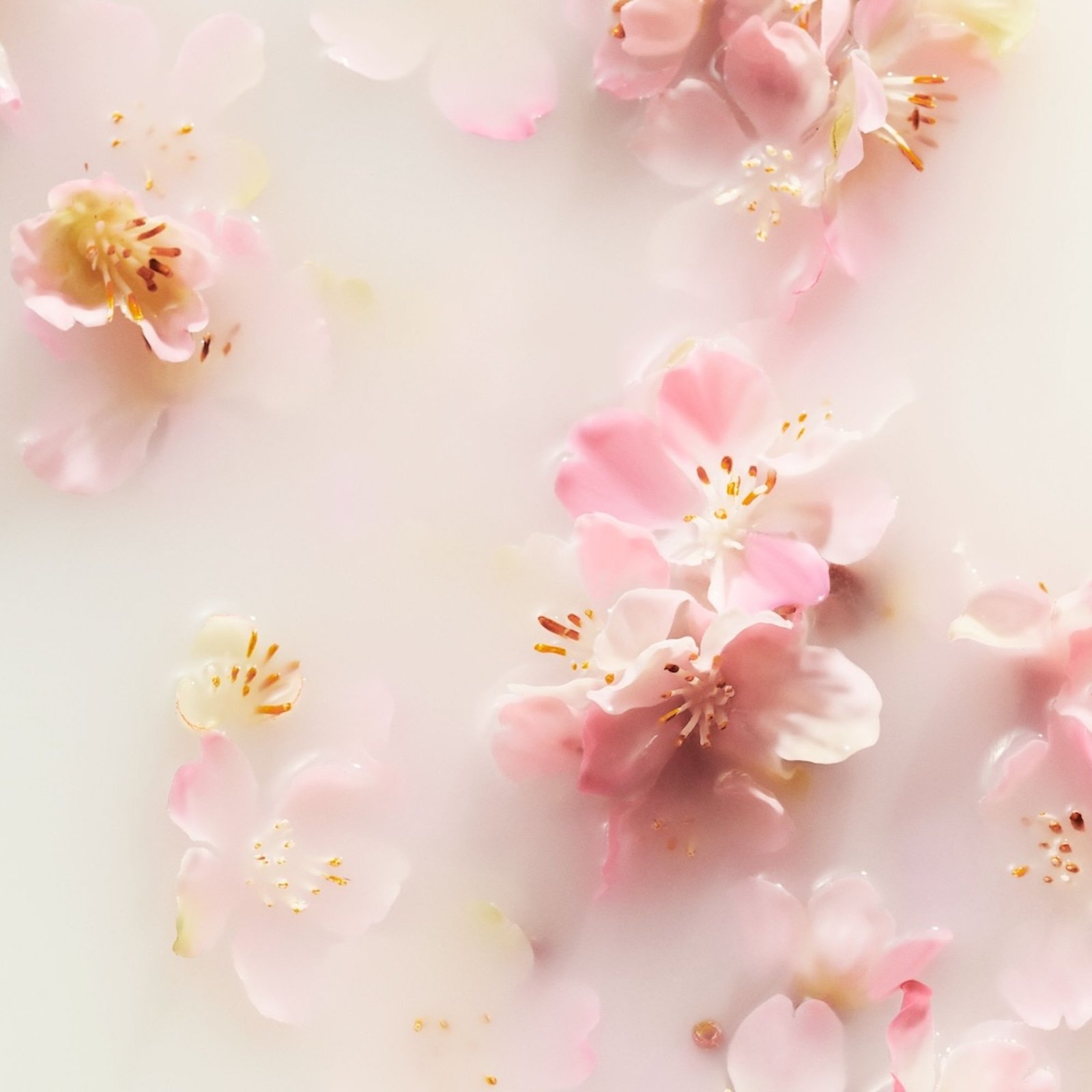 The Ritual of Sakura - Bougie parfumée RITUALS No color