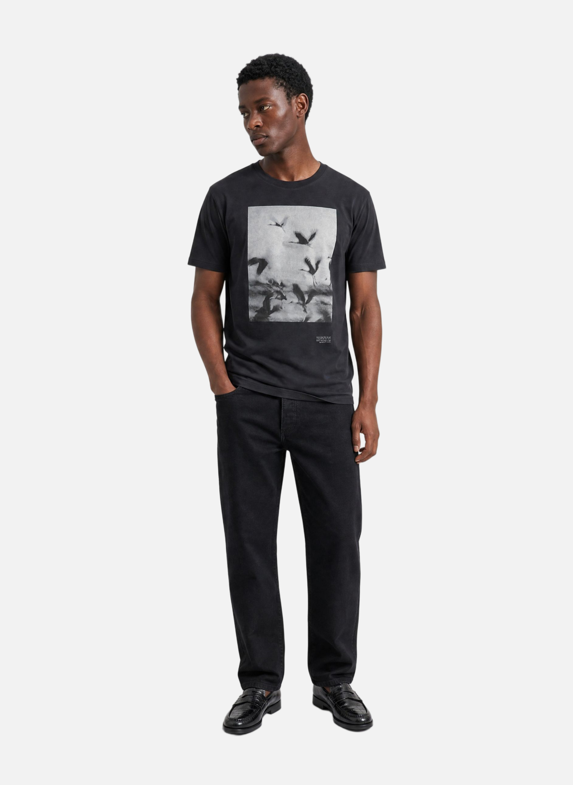 Black bird graphic T-shirt THE KOOPLES Black