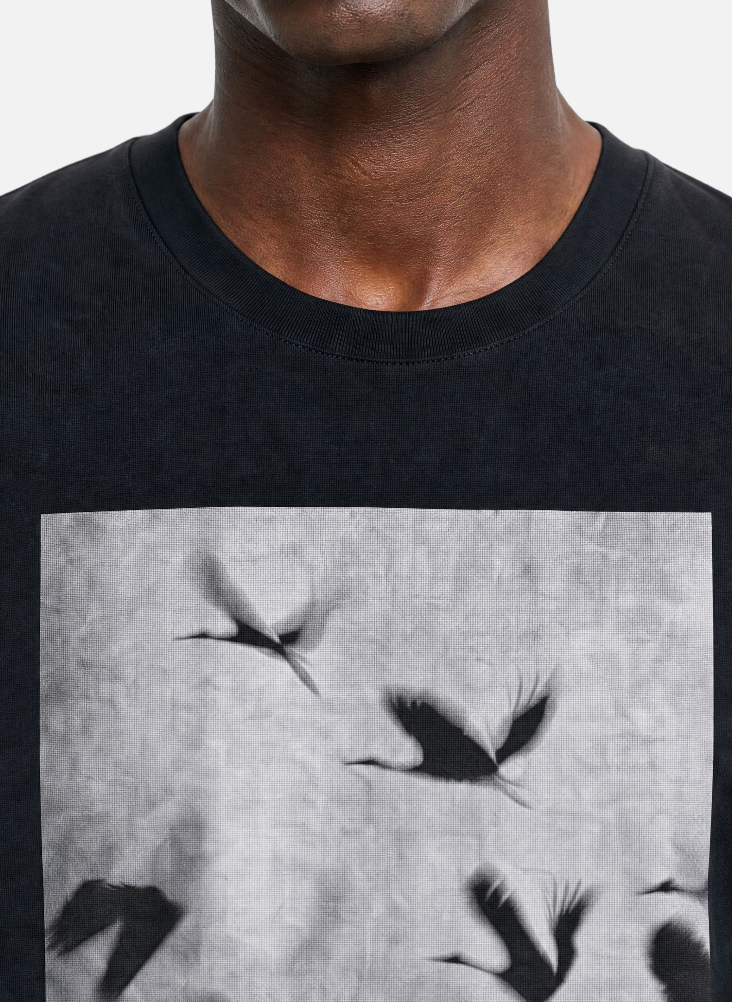 Black bird graphic T-shirt THE KOOPLES Black