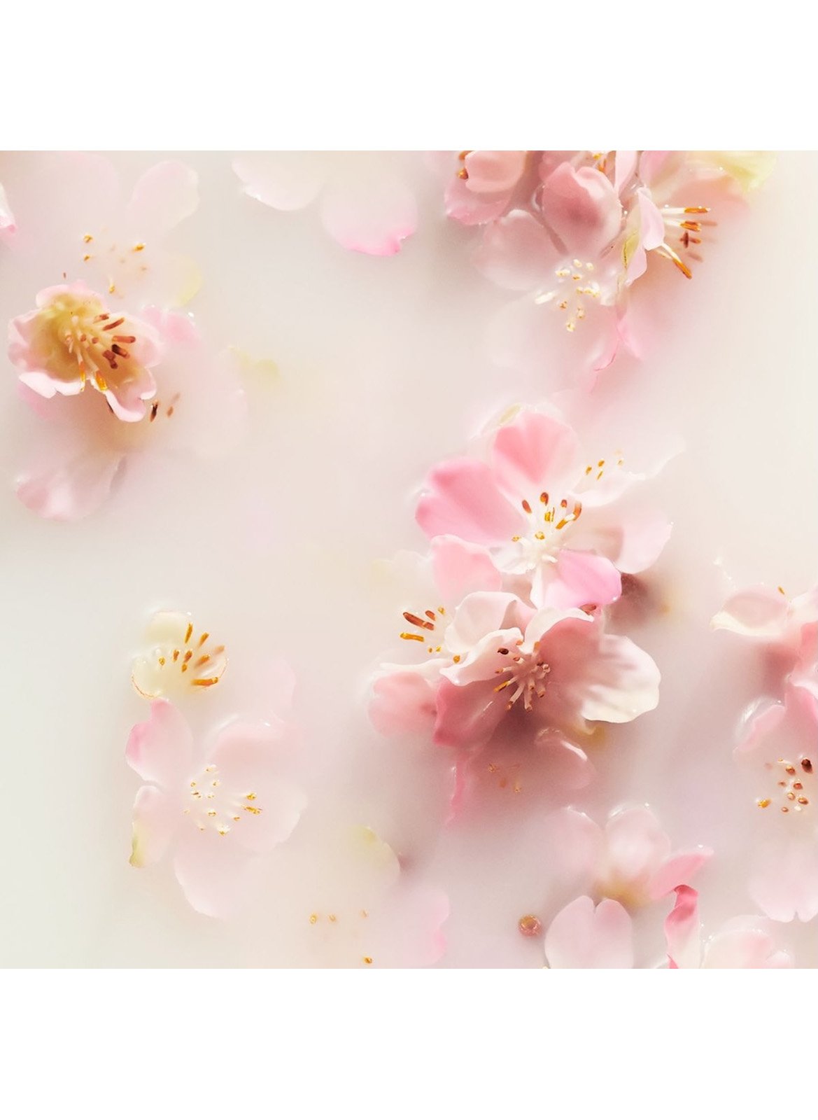 The Ritual of Sakura - Antitranspirantecrème RITUALS No color