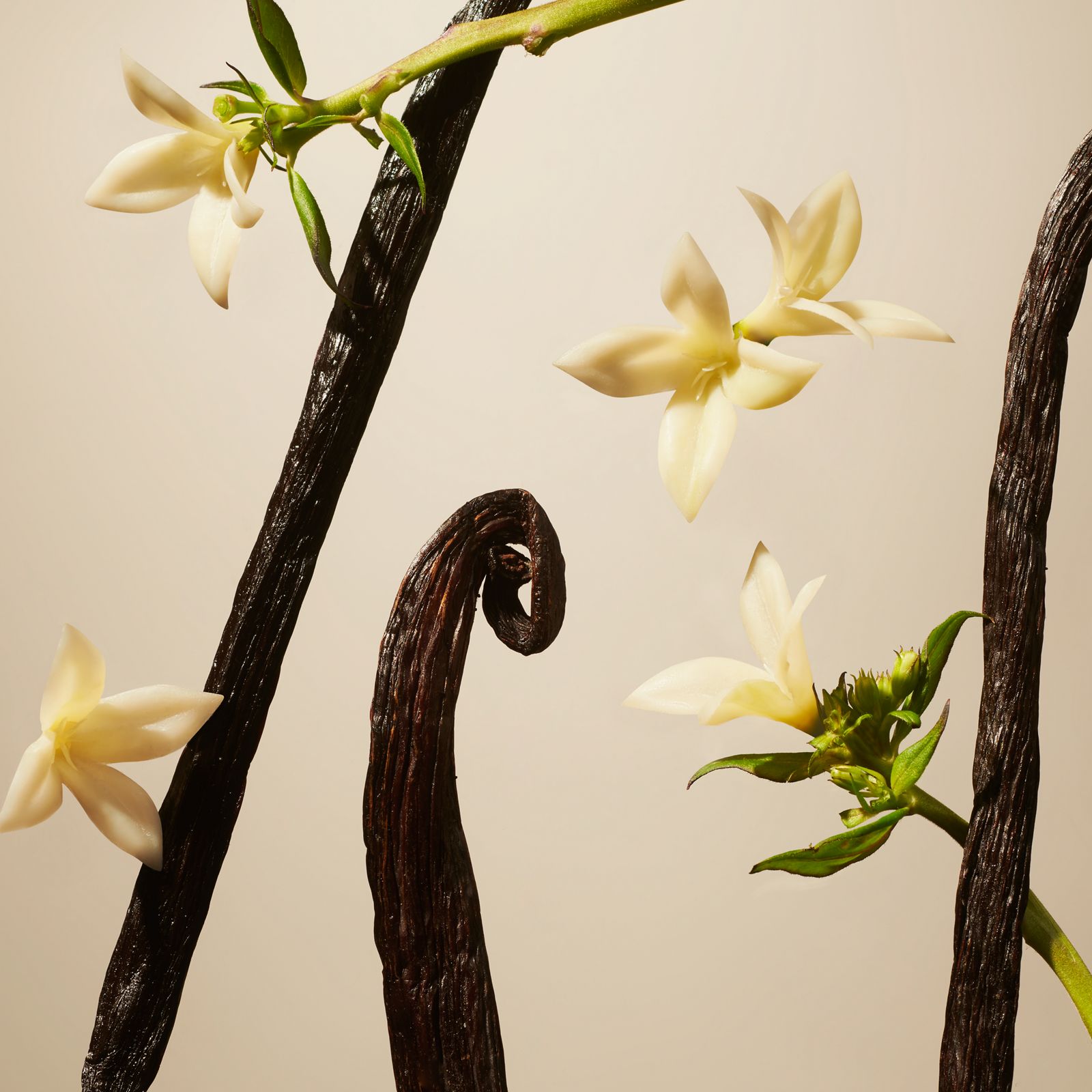 Vanilla Suede - Car Diffuser RITUALS No color