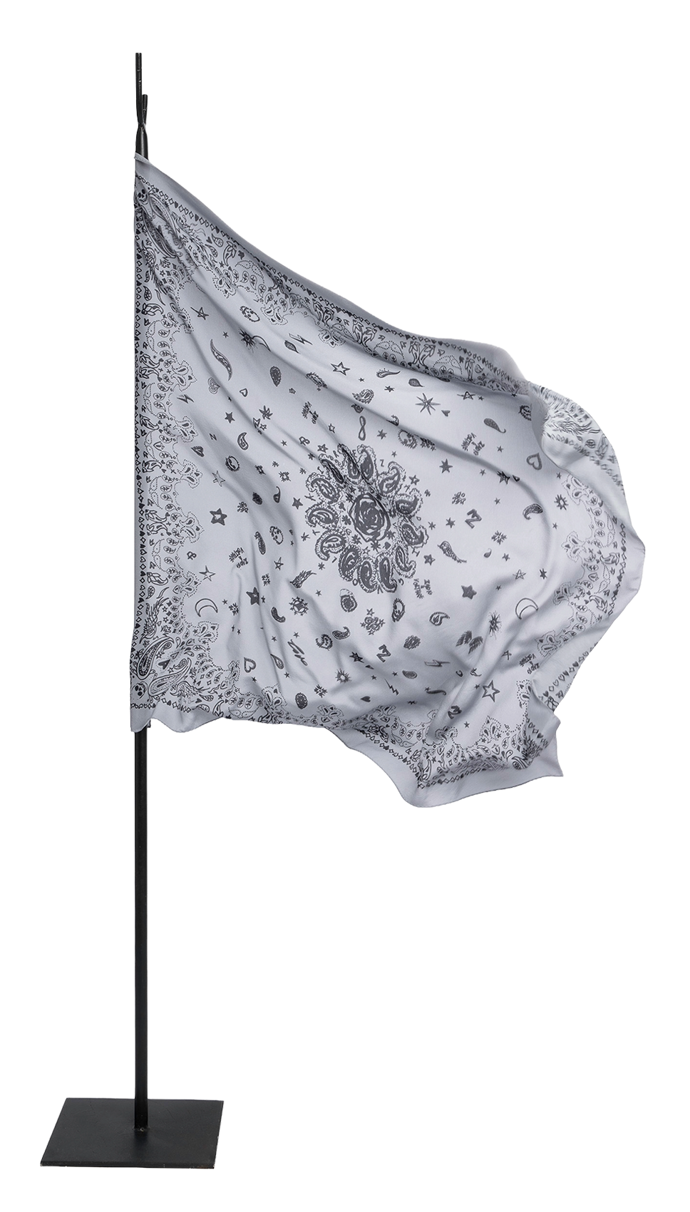Foulard en soie imprimé ZADIG&VOLTAIRE Gris