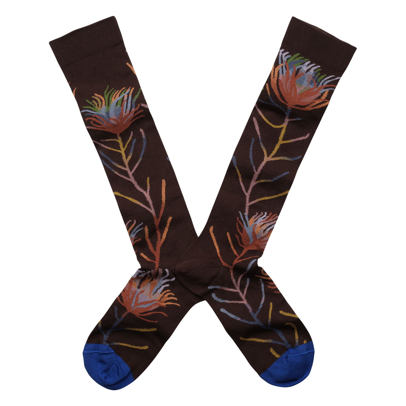 Chaussettes en coton mélangé imprimé BONNE MAISON Multicolore