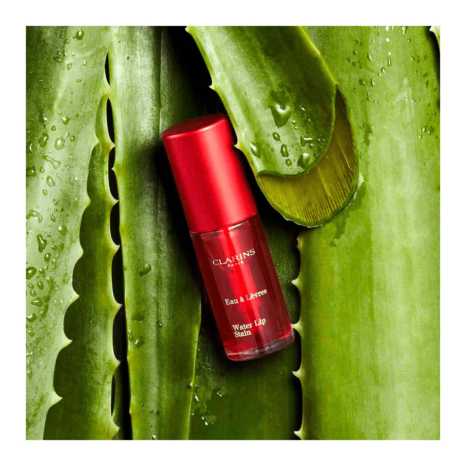 Eau à Lèvres CLARINS 08 - candy water