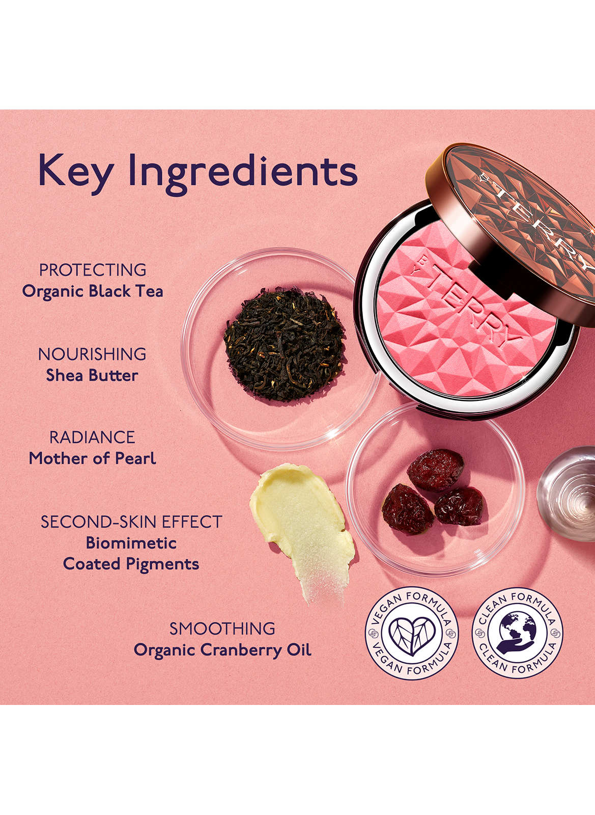 POUDRE DE BLUSH TEA TO TAN BY TERRY 2.melon melody