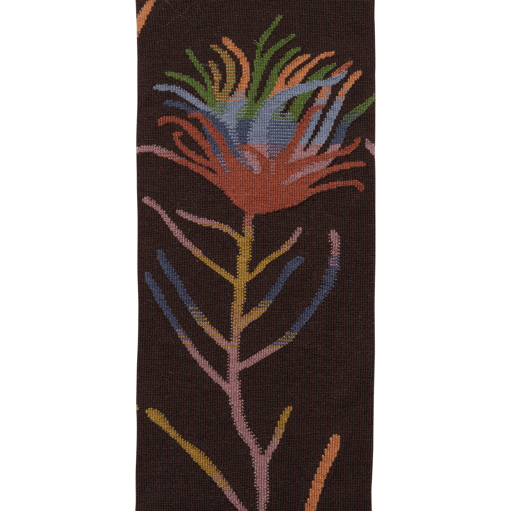 Chaussettes en coton mélangé imprimé BONNE MAISON Multicolore