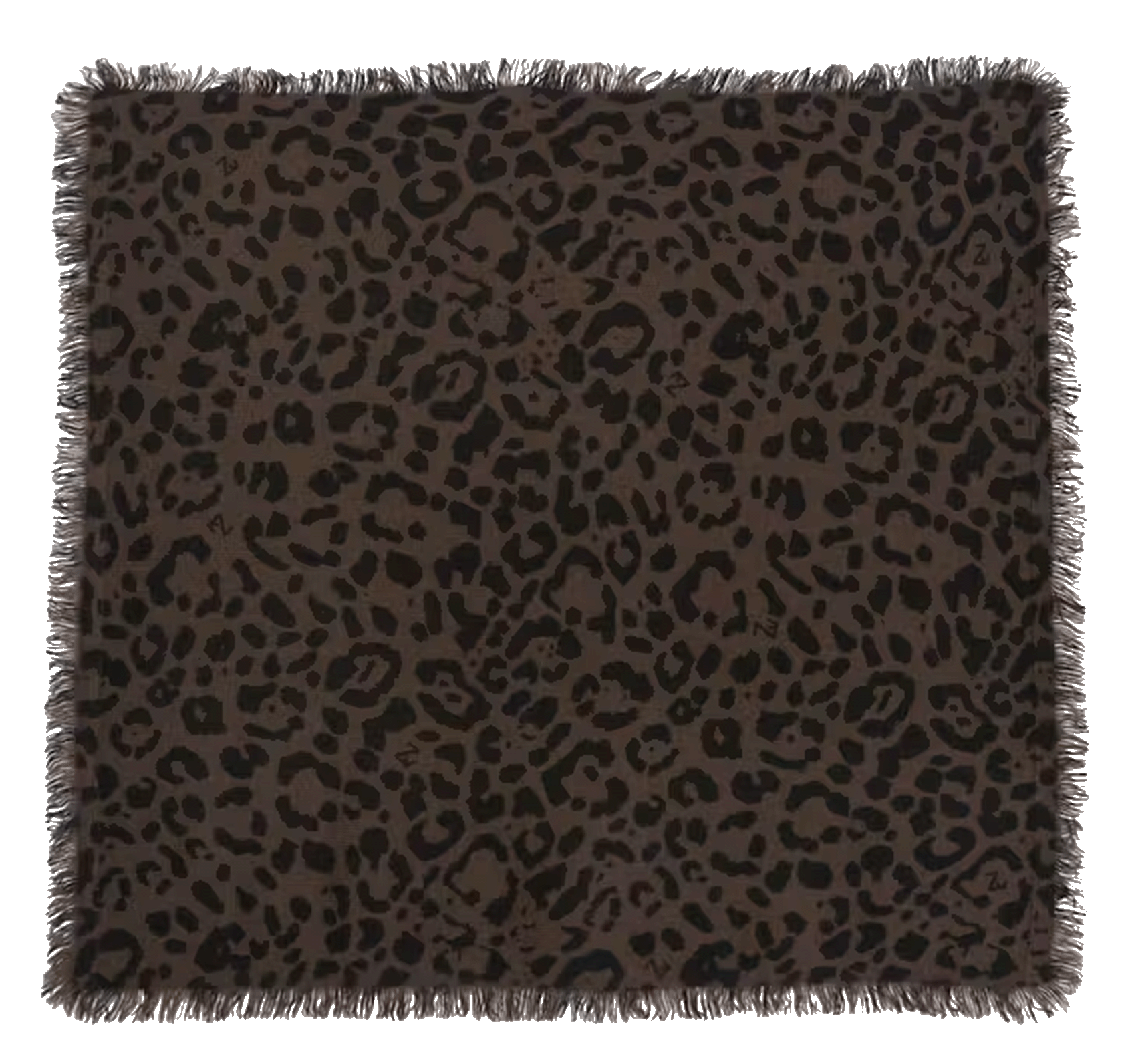 Echarpe en cachemire ZADIG&VOLTAIRE Marron