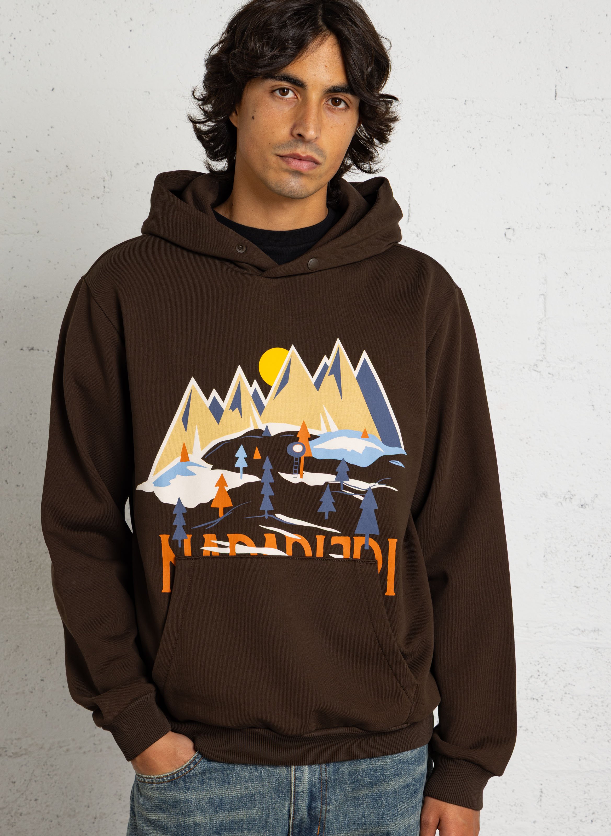 Screen-printed cotton-blend hoodie NAPAPIJRI Brown