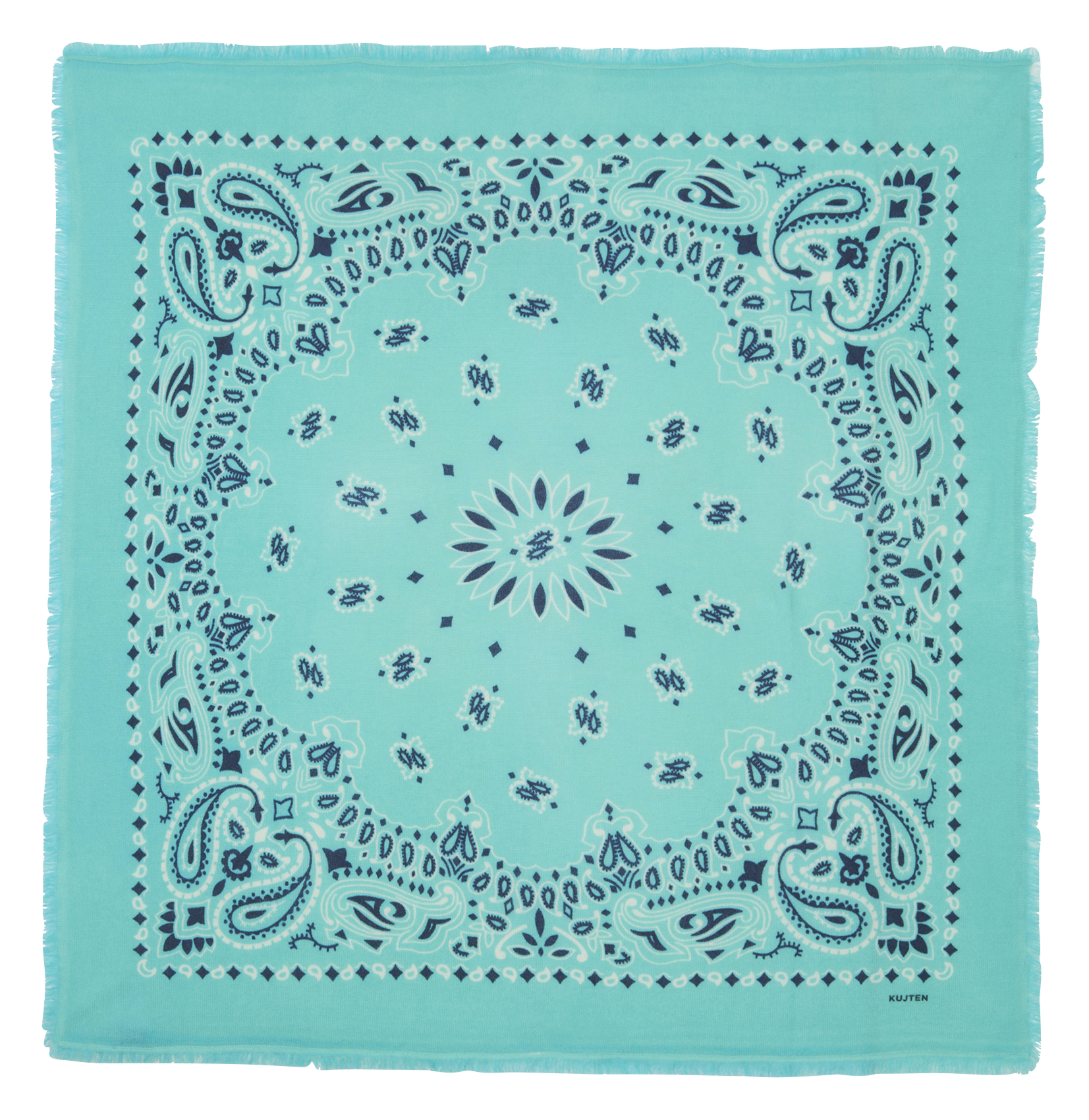 Echarpe en cachemire imprimé Vert