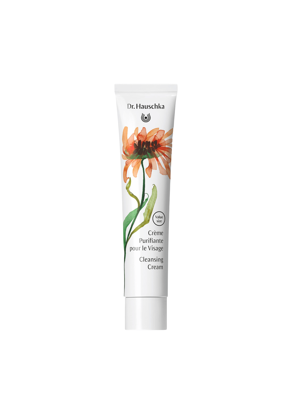 Purifying Face Cream - Limited Edition 2026 DR. HAUSCHKA No color