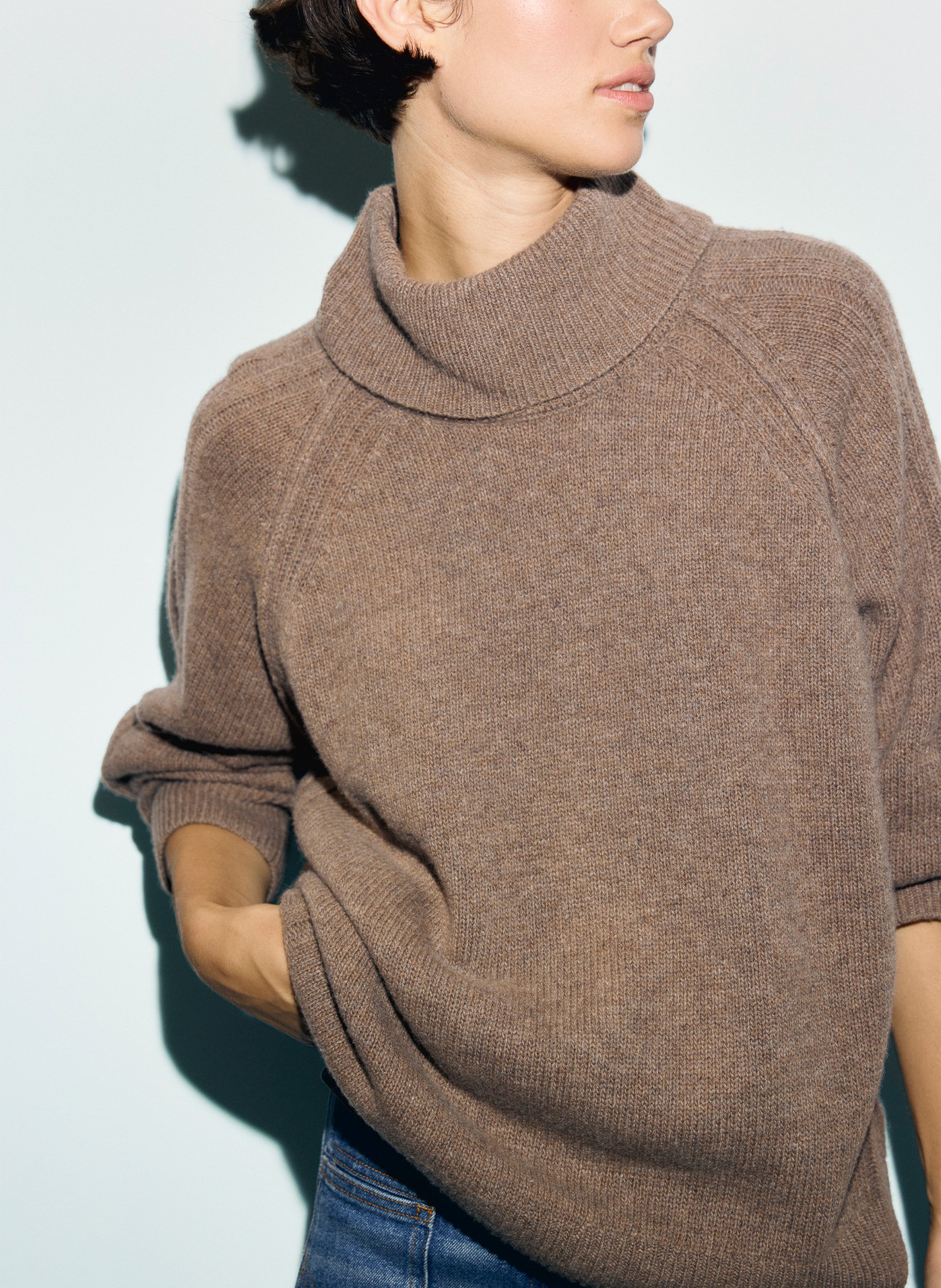 Wool and cashmere turtleneck sweater GERARD DAREL Brown
