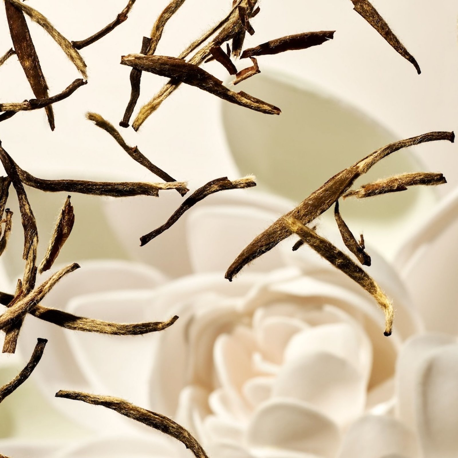 The Ritual of Karma - Car Diffuser No color