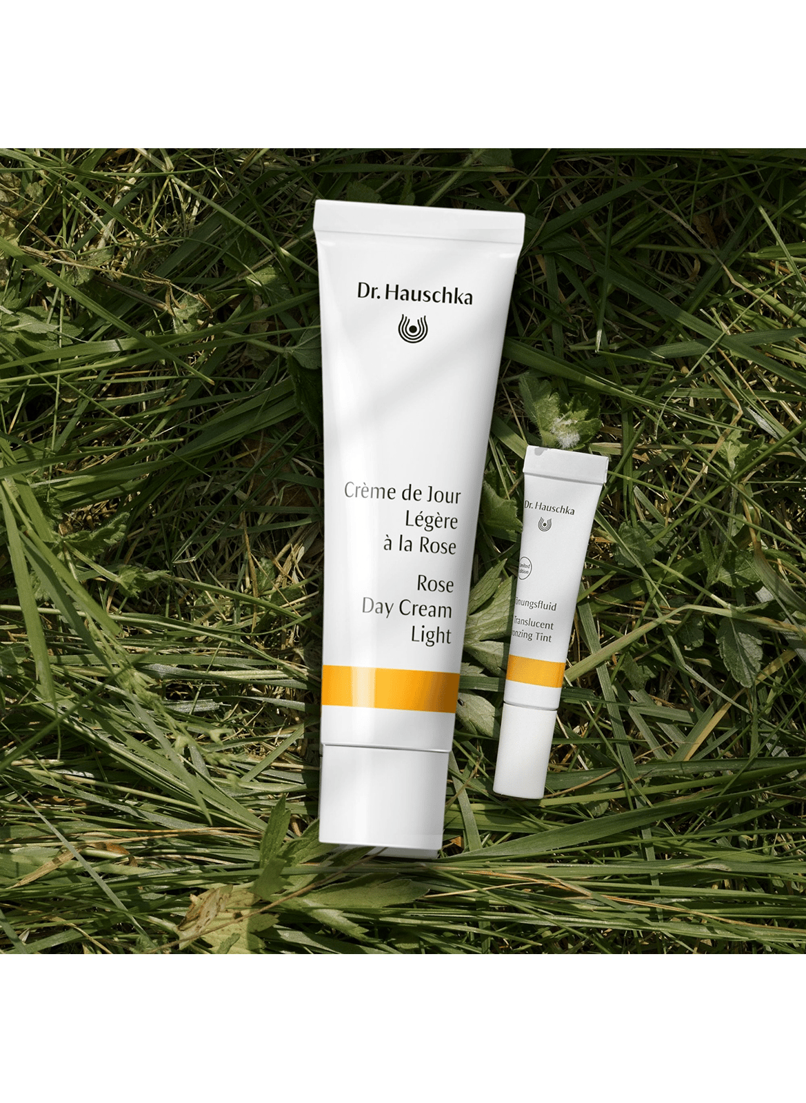 Day Cream Light with Rose 30 ml + Tinted Emulsion 2.5 ml DR. HAUSCHKA No color