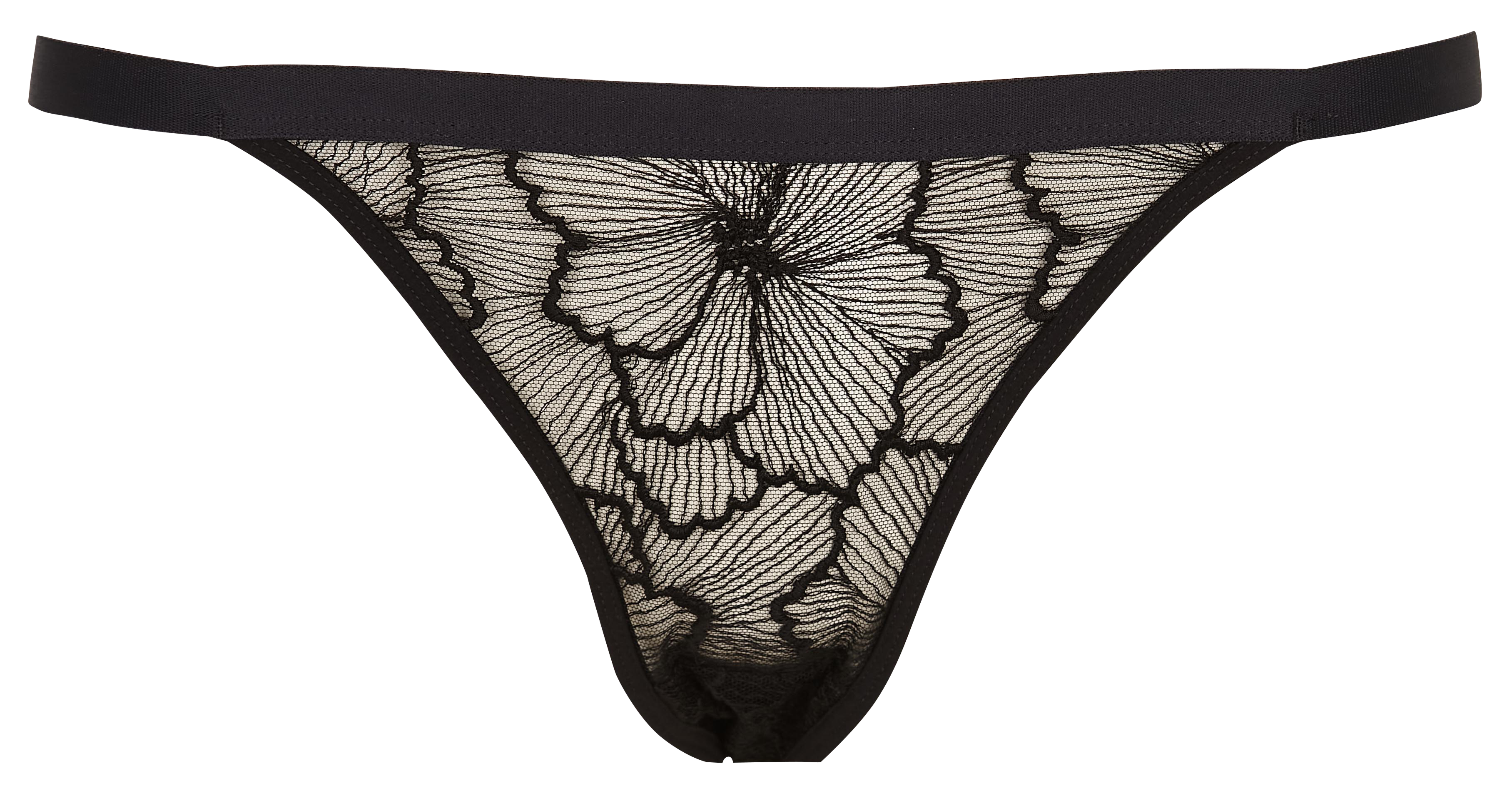 Panties mushuk ichiga kesiladi