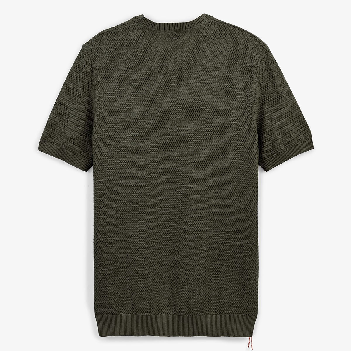 Short-sleeve round neck cotton sweater SERGE BLANCO Green