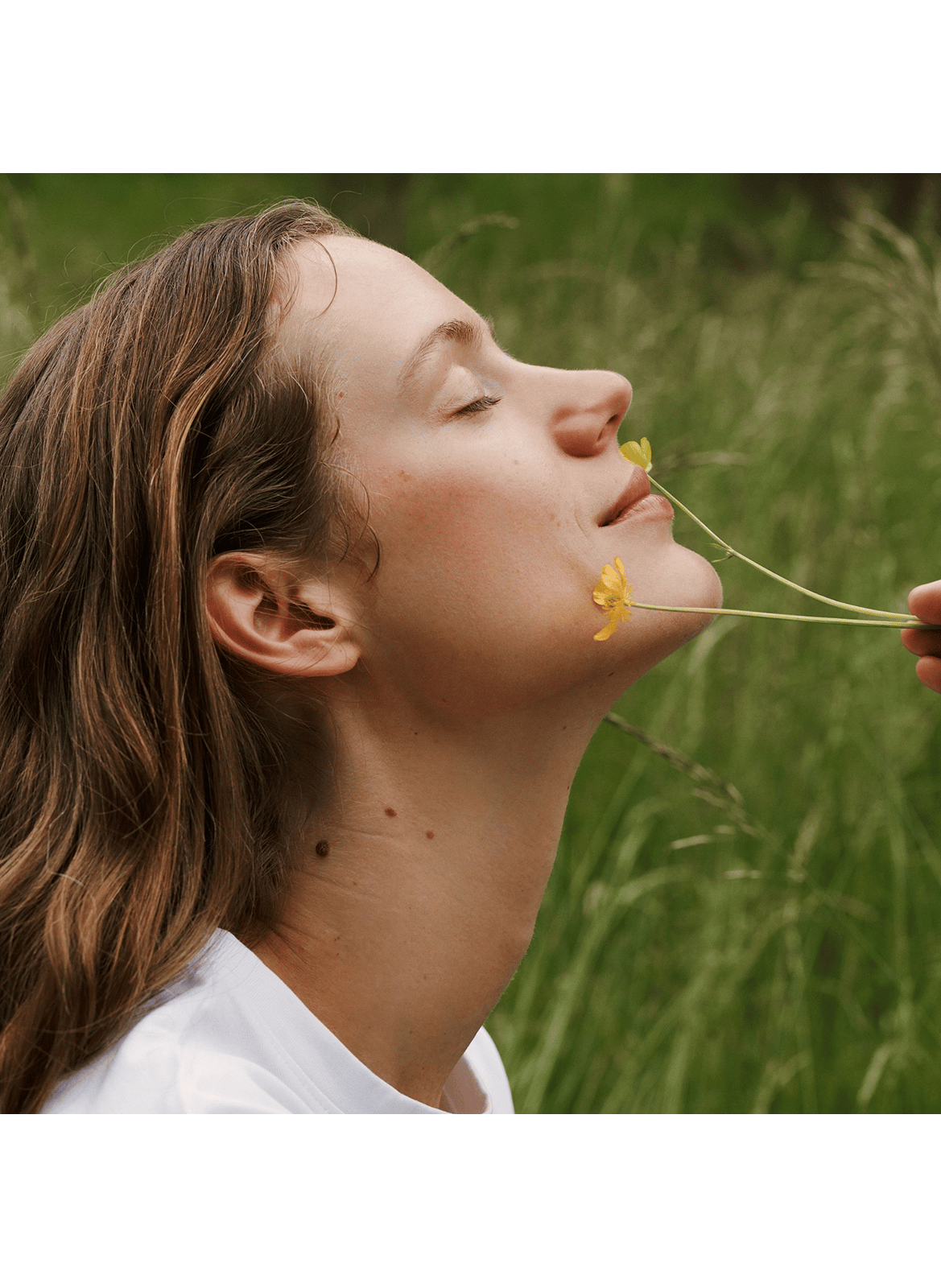 Day Cream Light with Rose 30 ml + Tinted Emulsion 2.5 ml DR. HAUSCHKA No color