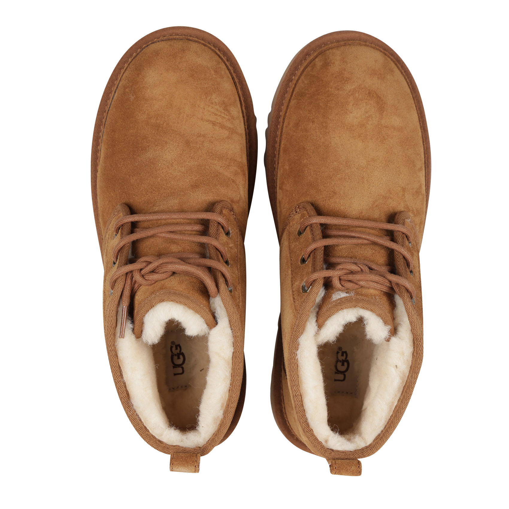 Schnürstiefeletten aus Leder UGG Braun