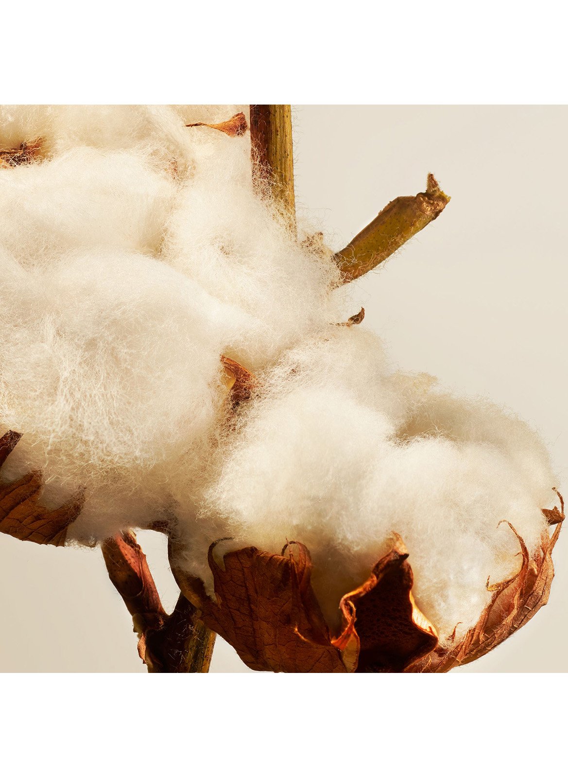 Cotton Blossom - Mini Diffuseur de Parfum RITUALS No color