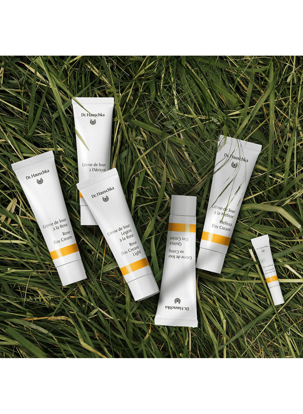 Day Cream with Apricot 30 ml + Tinted Emulsion 2.5 ml DR. HAUSCHKA No color
