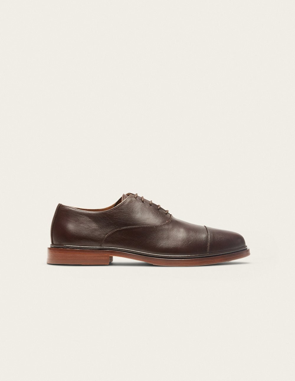 Derby shoes ODAJE EX. M.MOUSTACHE Brown