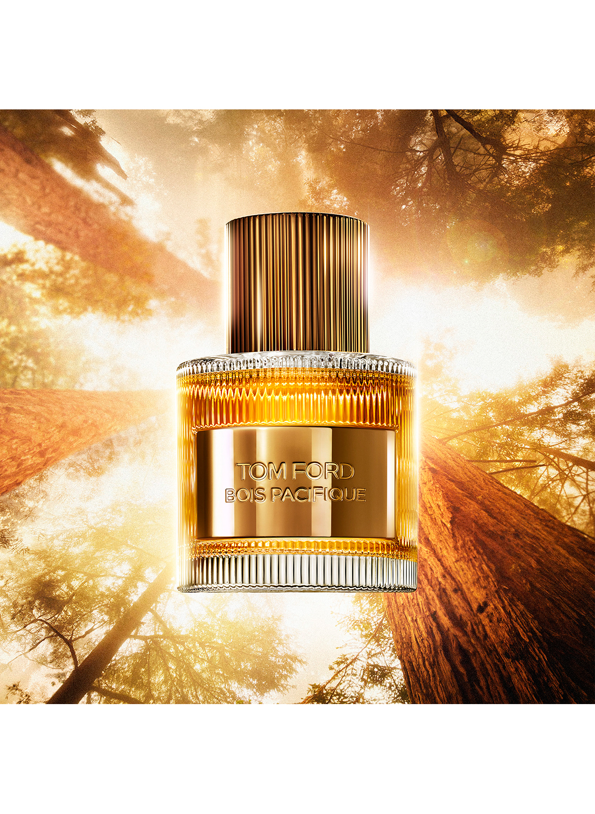 Pacific Wood - Eau de Parfum TOM FORD No color