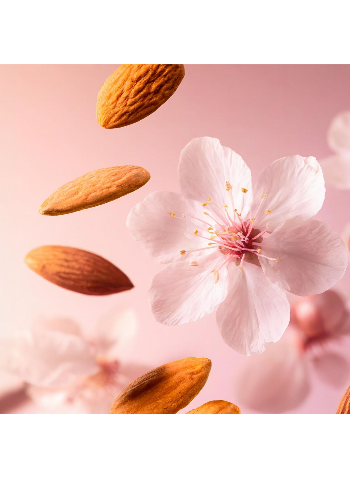 The Ritual of Sakura - Douchegelolie RITUALS No color