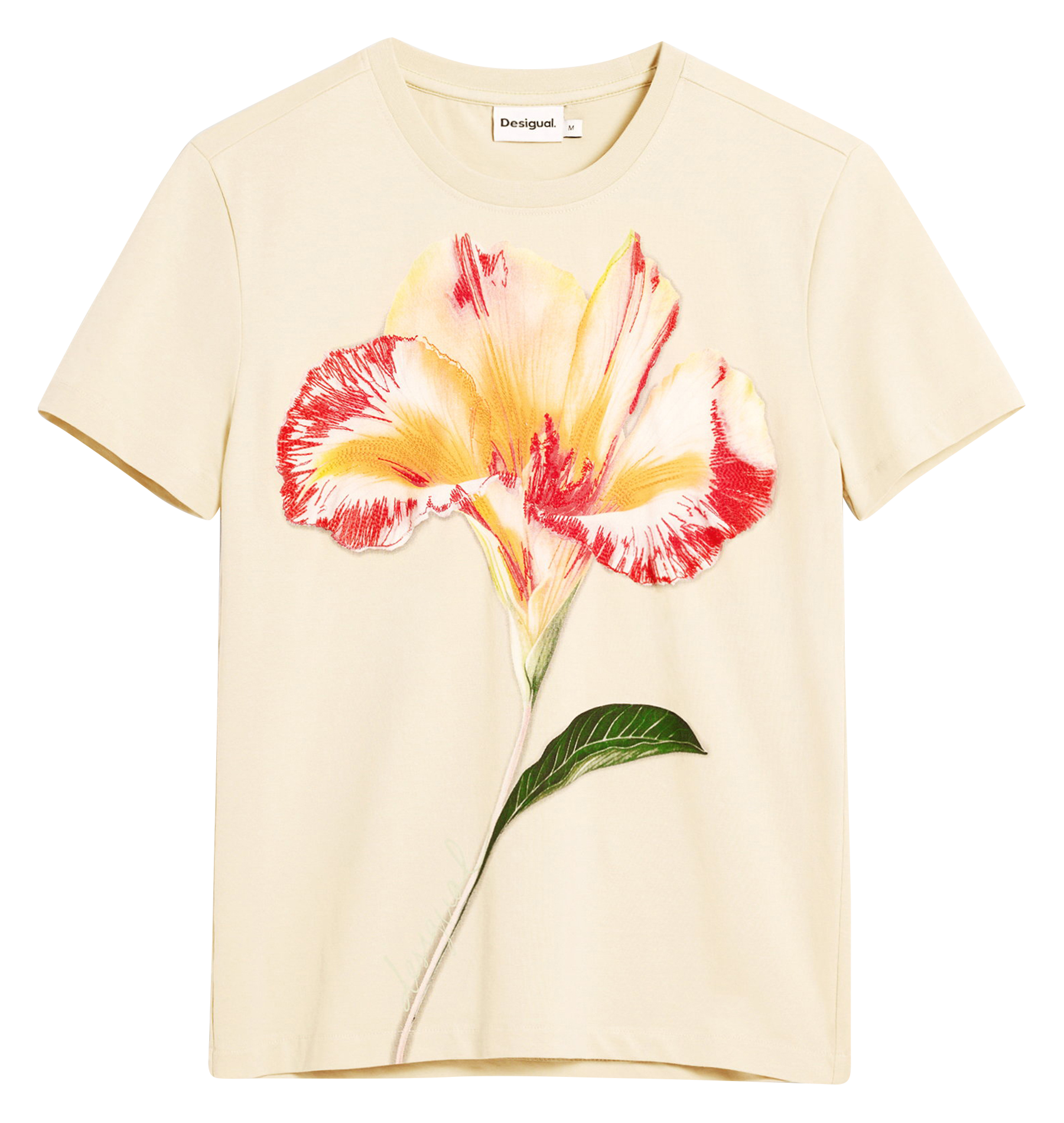 Jacksonville - T-Shirt mit Rundhalsausschnitt aus Baumwoll-Mix DESIGUAL Weiss