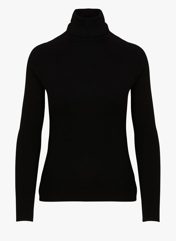 Black Fitted turtleneck sweater