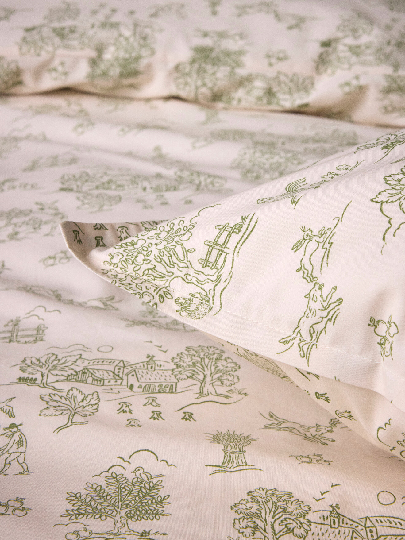 Cotton percale pillowcase "aloïs" Green