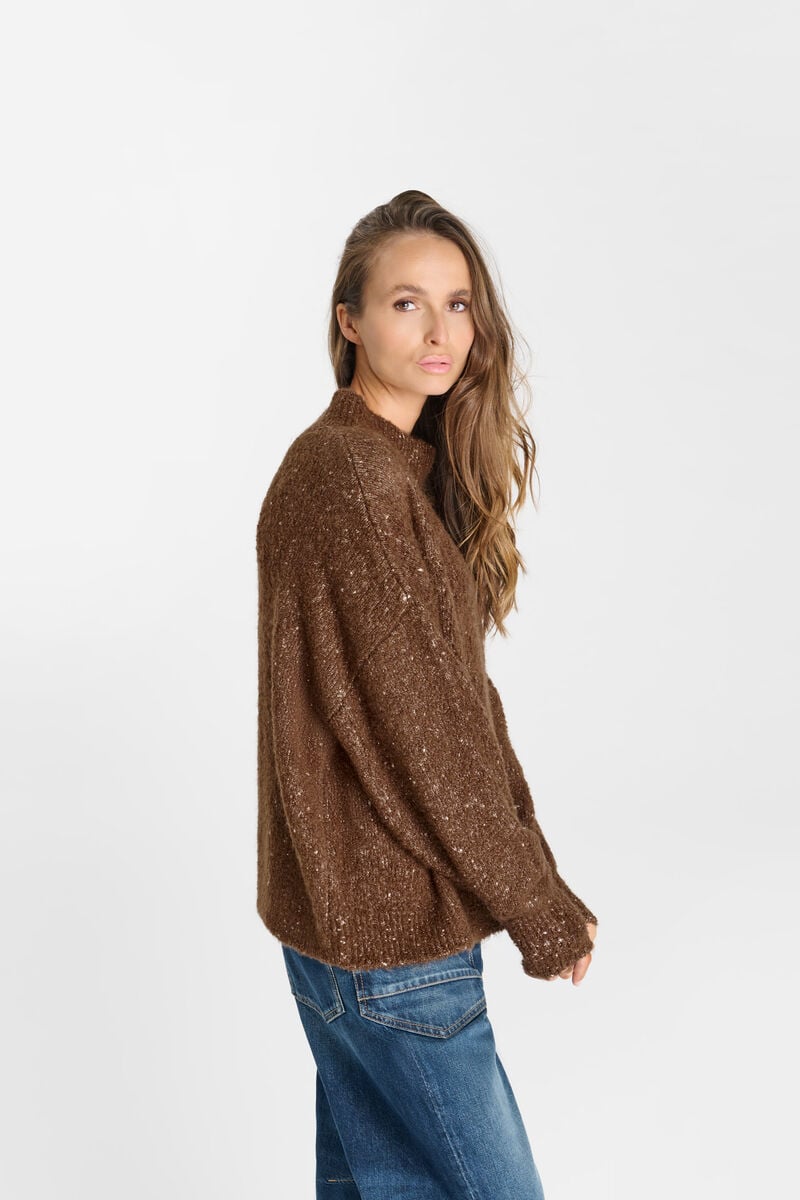 Nyx sweater LE TEMPS DES CERISES Brown