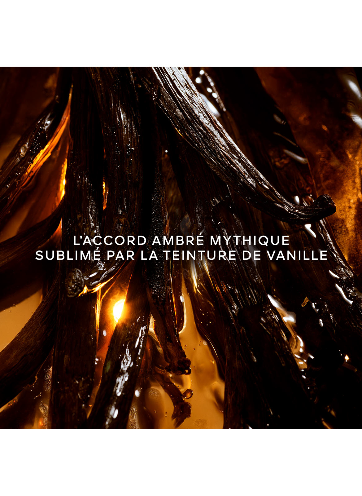 Shalimar L'Essence - Intense Eau de Parfum GUERLAIN No color