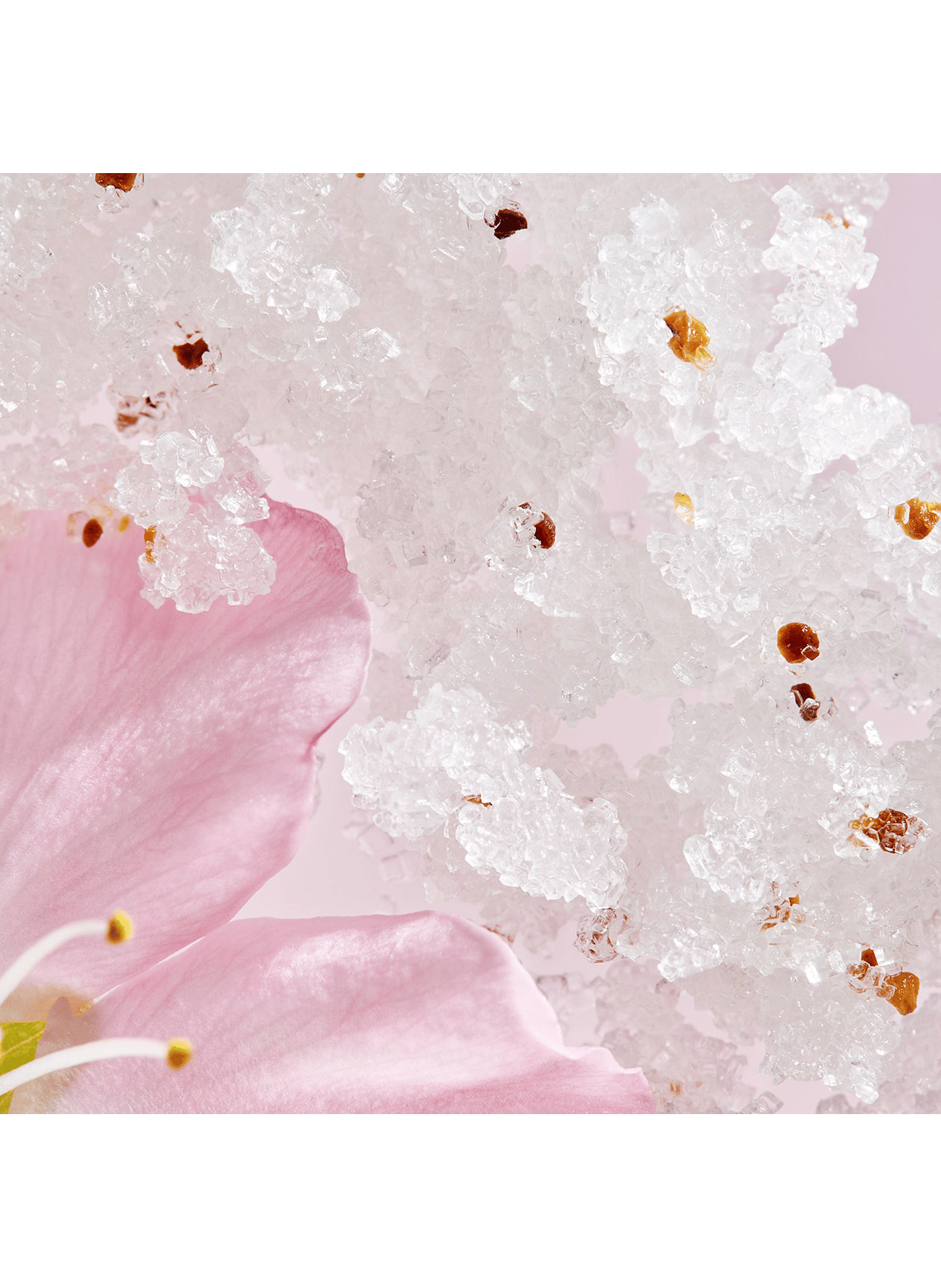 The Ritual of Sakura - Gommage Corps RITUALS No color