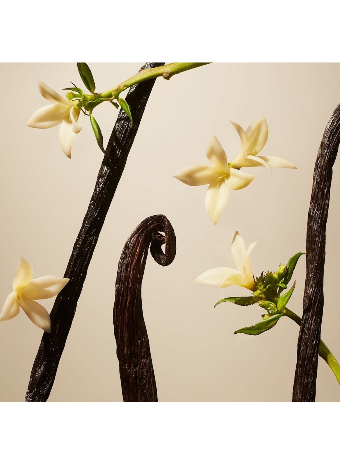 Suede Vanilla - Mini Diffuseur de Parfum RITUALS No color