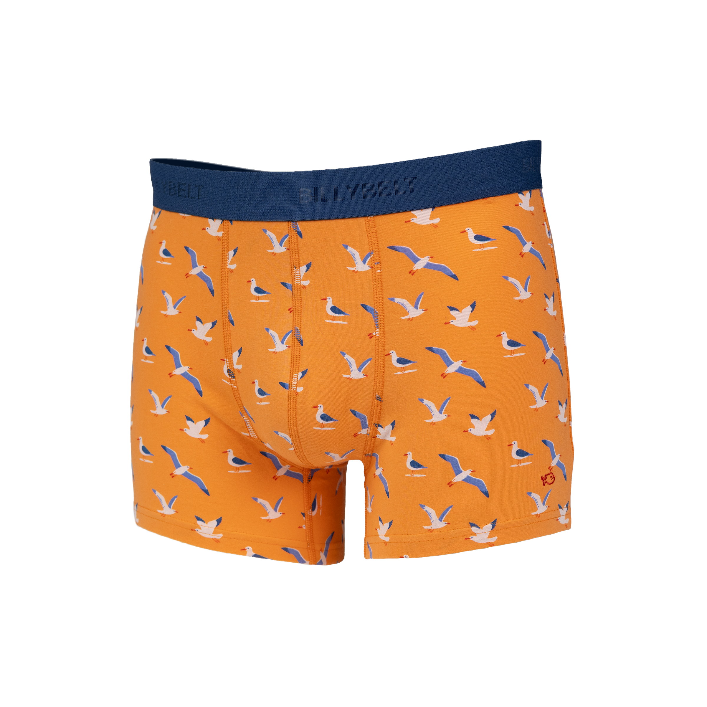 Organic cotton boxers BILLYBELT