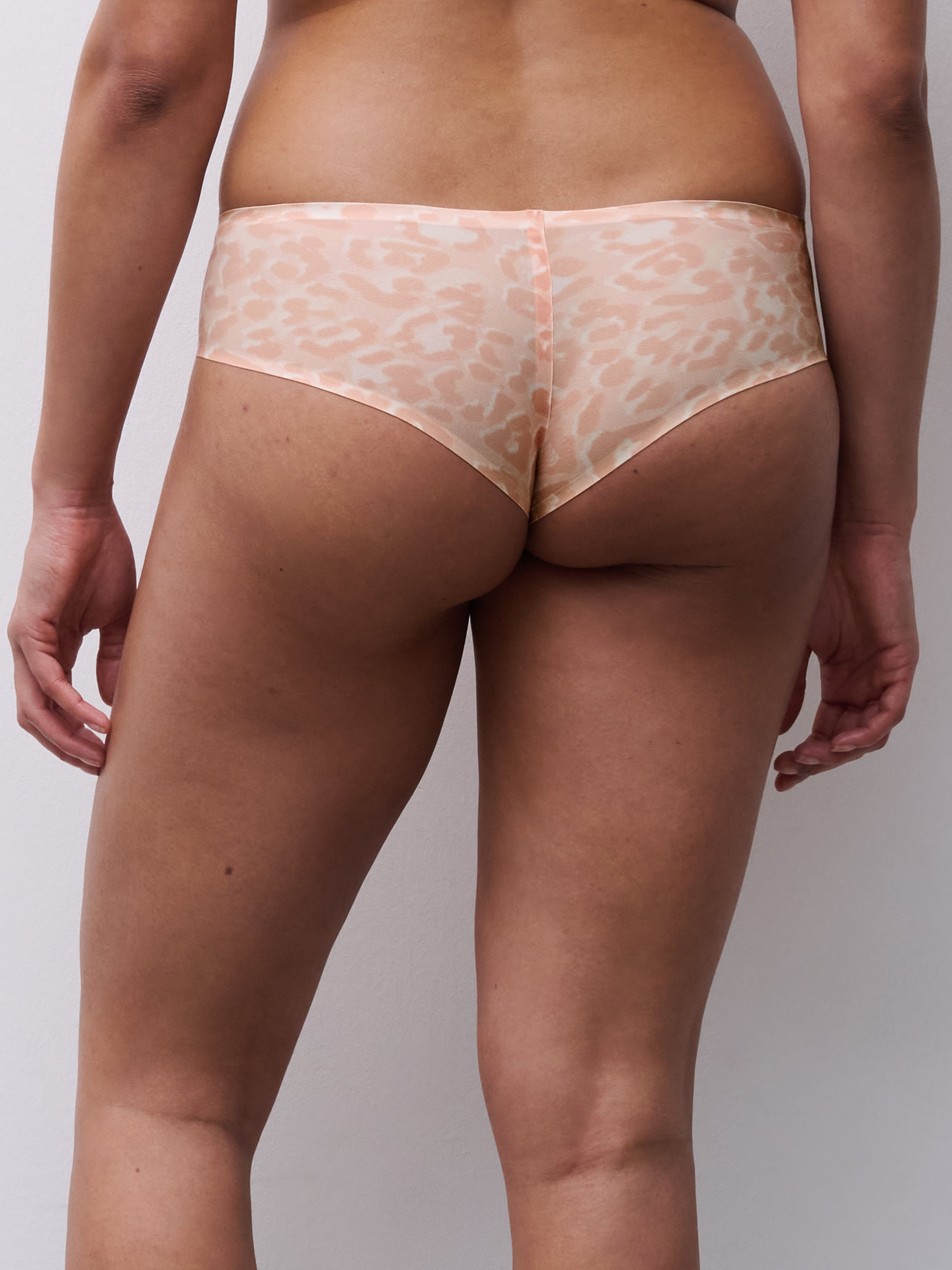 Briefs CHANTELLE Brown