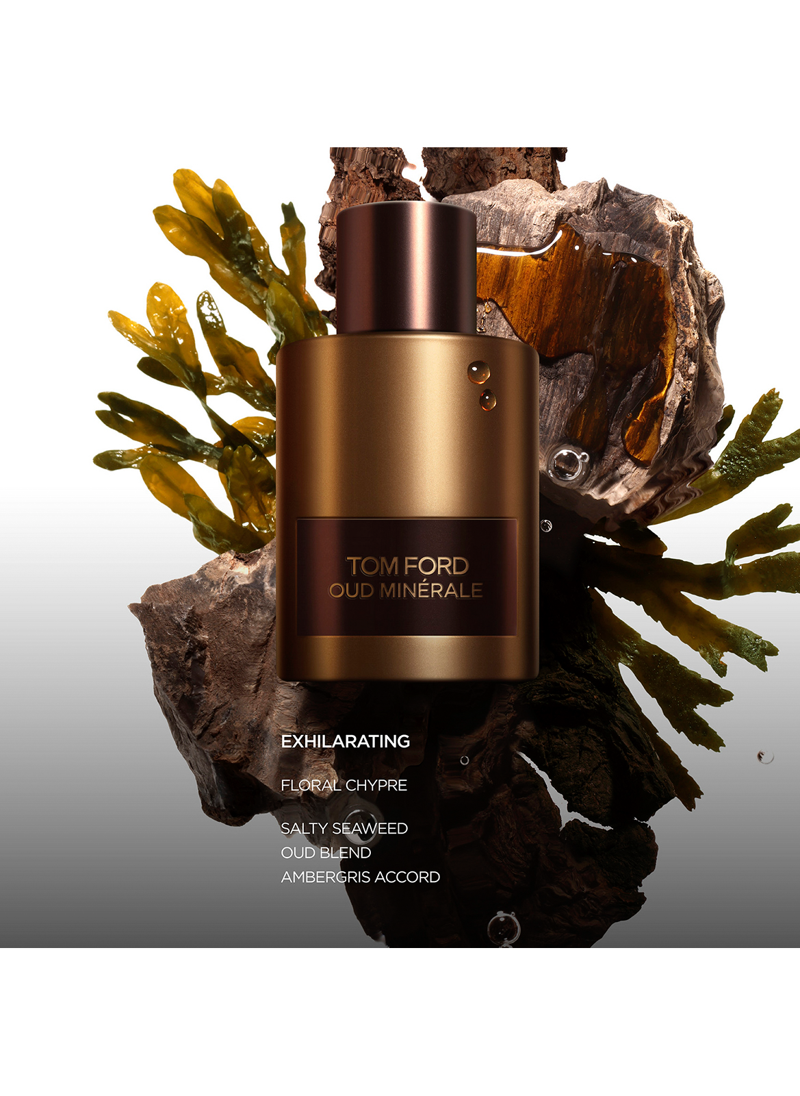 Oud Minérale - Eau de Parfum TOM FORD No color