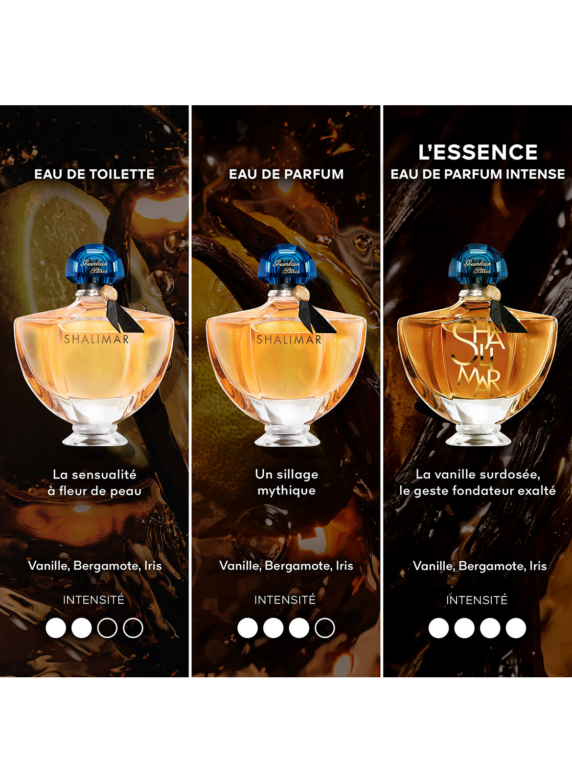 Shalimar L'Essence - Intense Eau de Parfum GUERLAIN No color