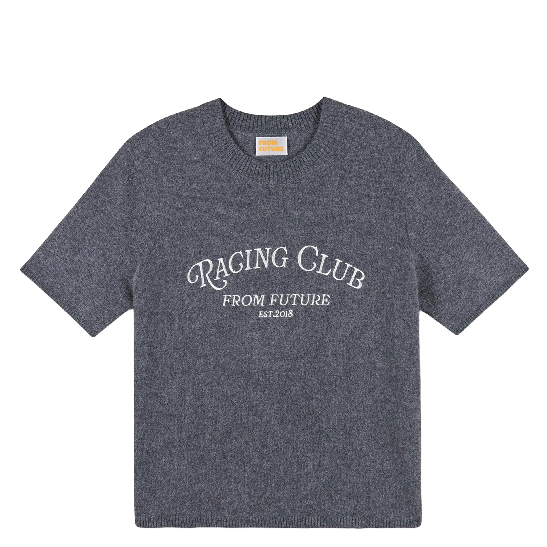 Trui van kasjmier met korte mouwen FROM FUTURE Grijs