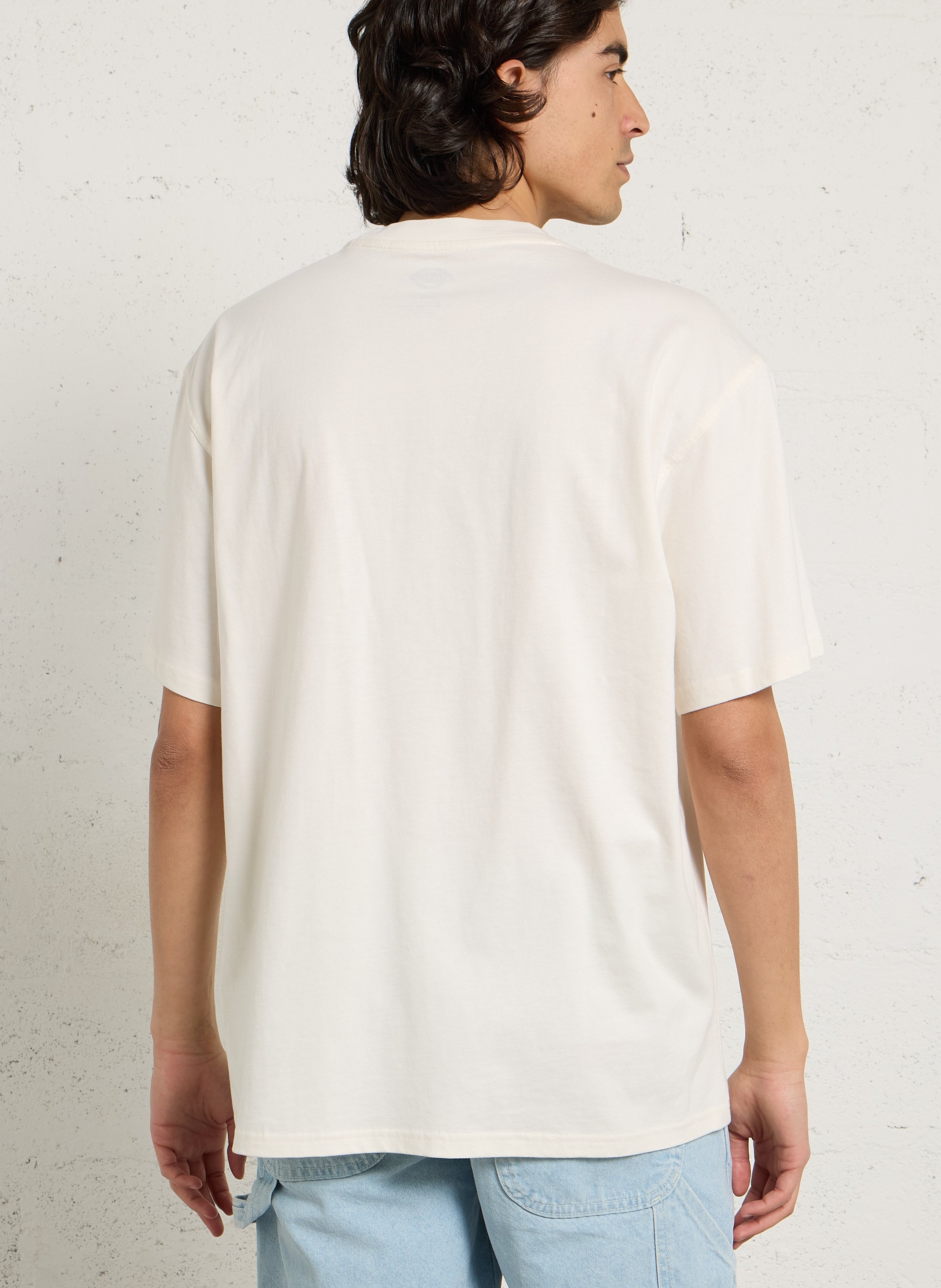 Effen T-shirt DICKIES Bruin